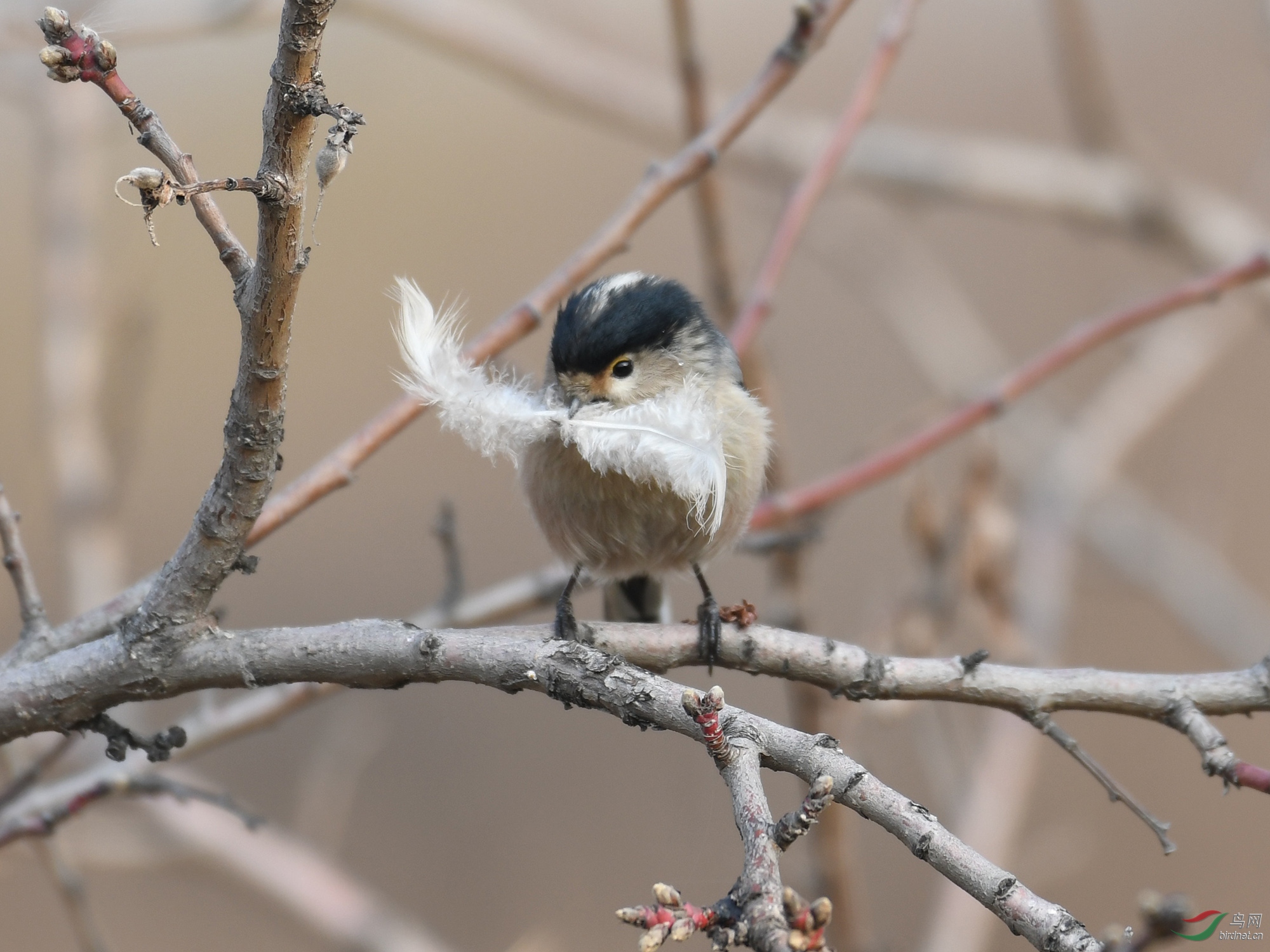 ������Ӱ 1240����.jpg