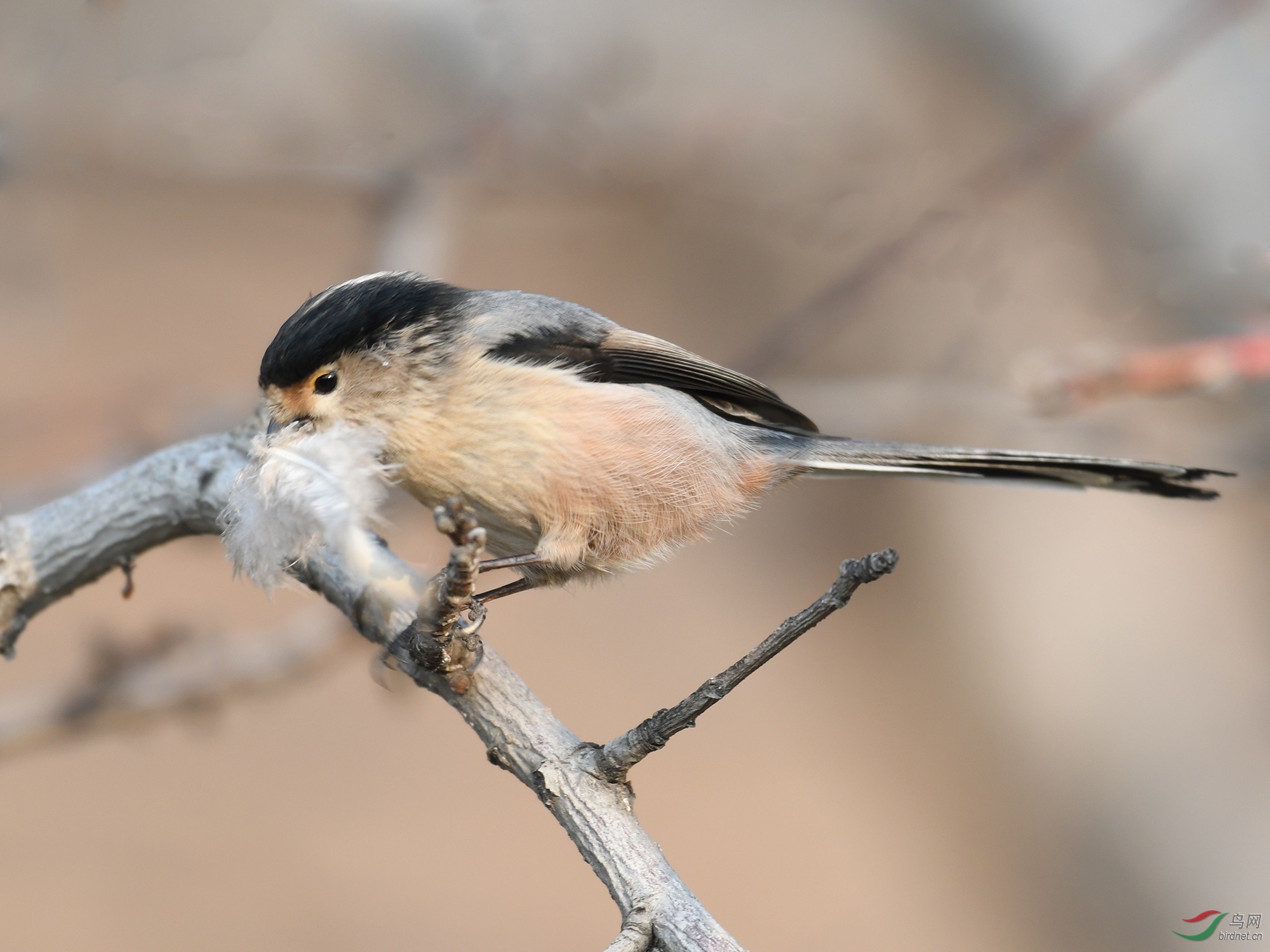 ������Ӱ 1249����.jpg