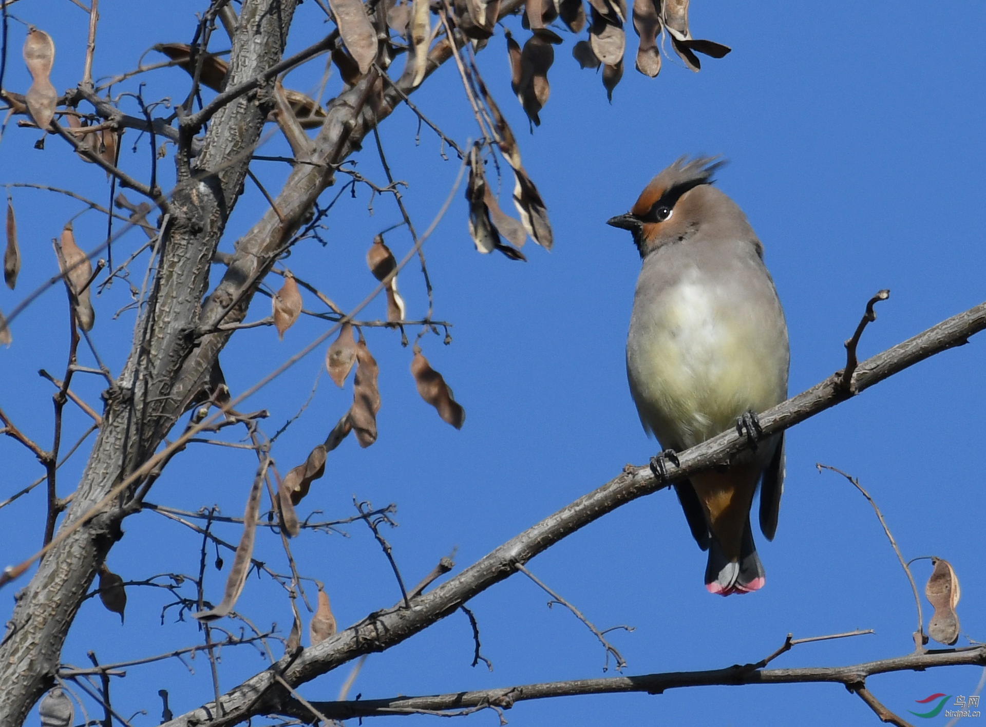 ������Ӱ 223����.jpg