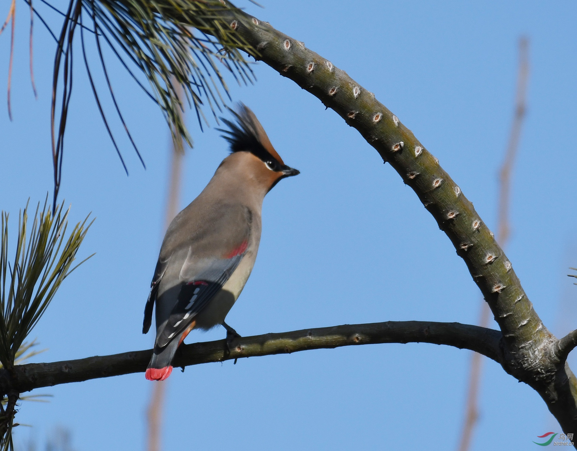 ������Ӱ 363����.jpg