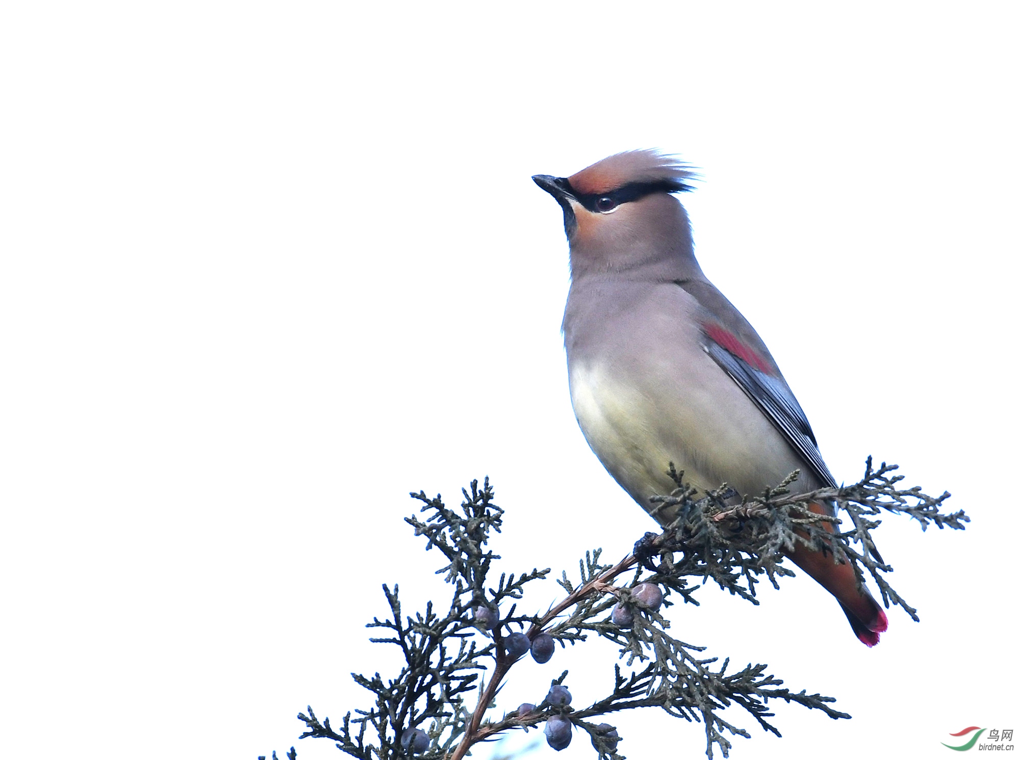 ������Ӱ 920����.jpg