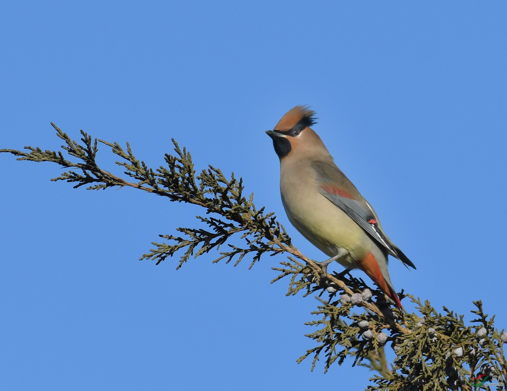 ������Ӱ 1395����.jpg