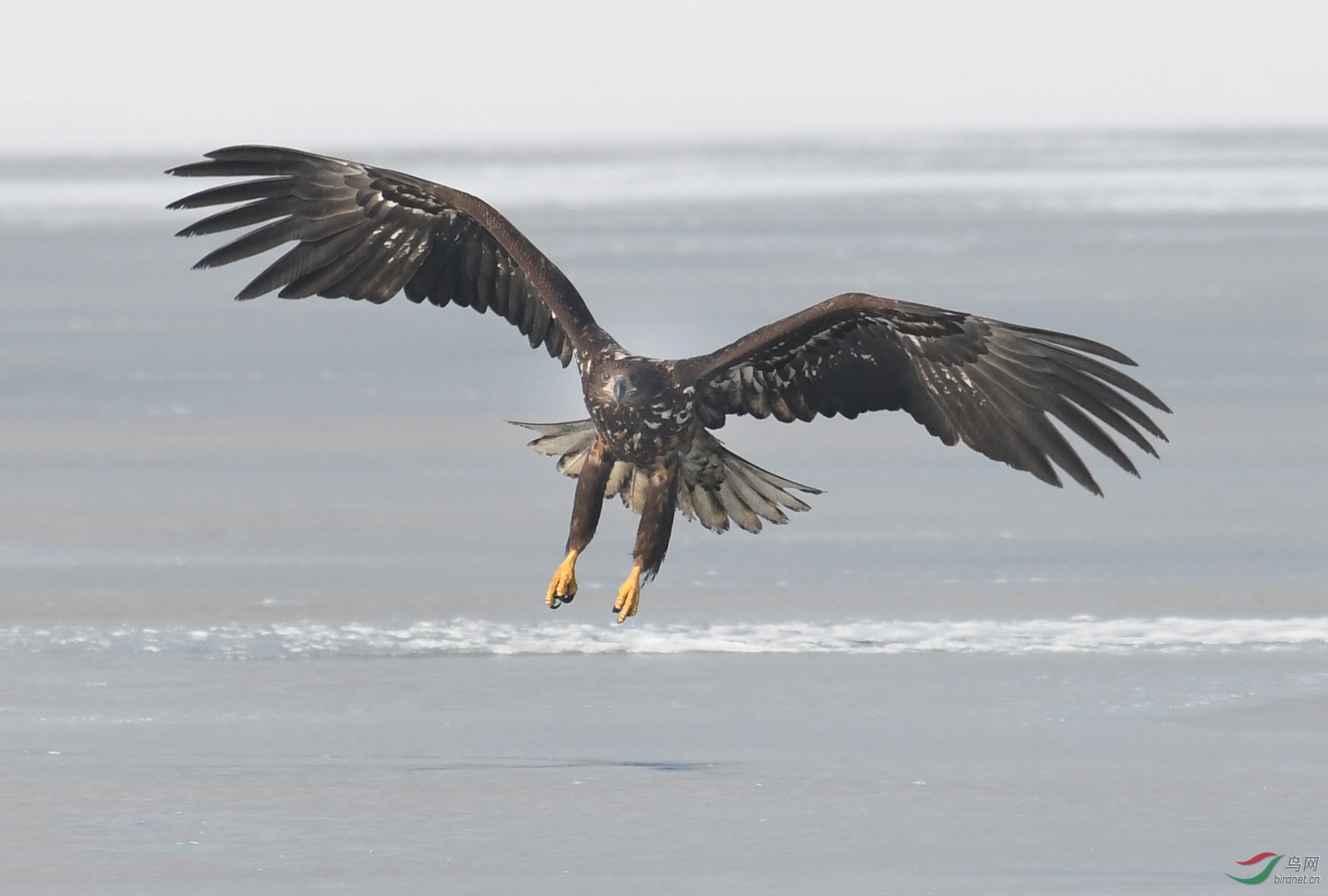 ������Ӱ 349����.jpg