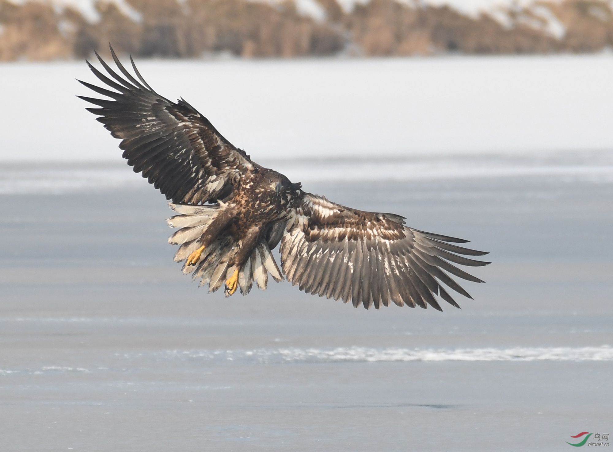 ������Ӱ 351����.jpg