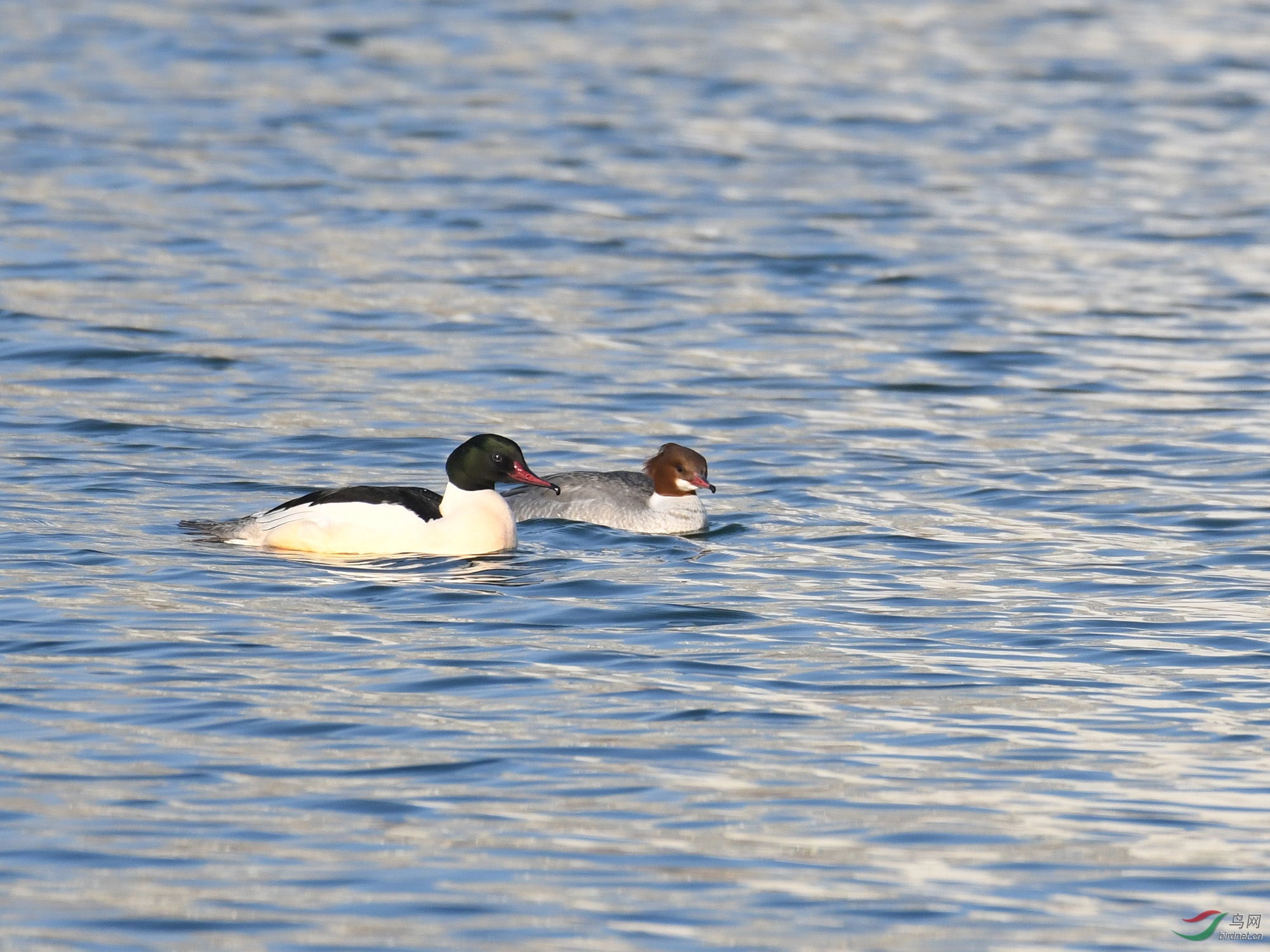 ������Ӱ 573����.jpg