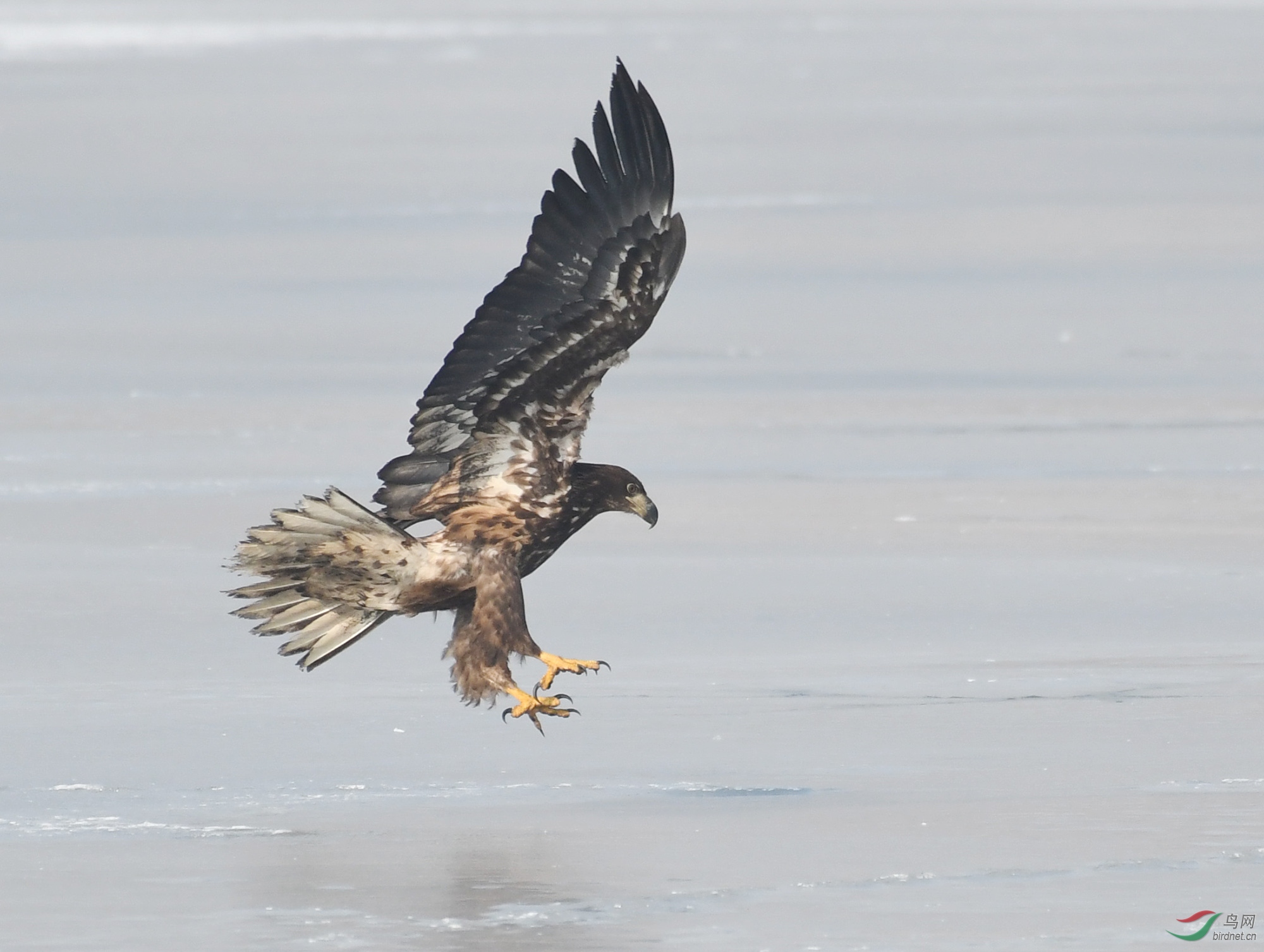 ������Ӱ 366����.jpg