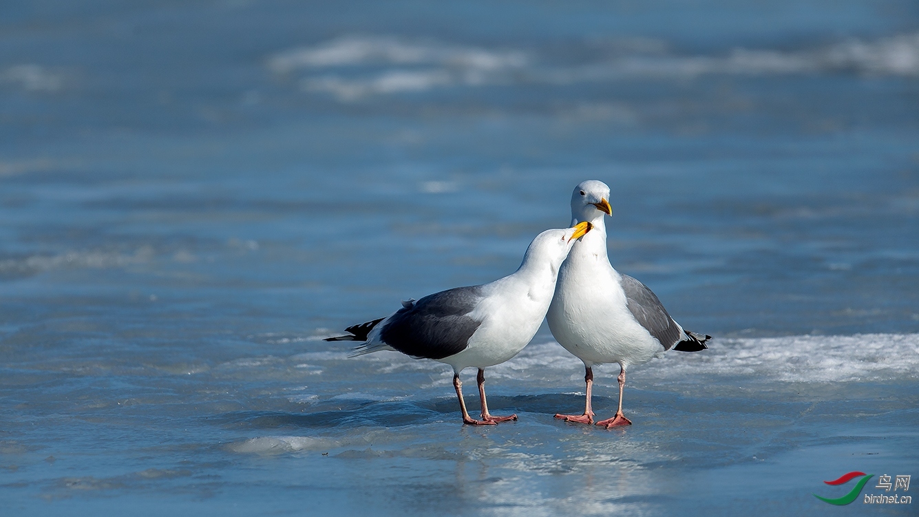 ���� ��ʦ����.jpg