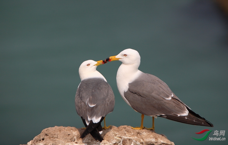 ����� ��ʦ������ɽ��ʡ������.jpg