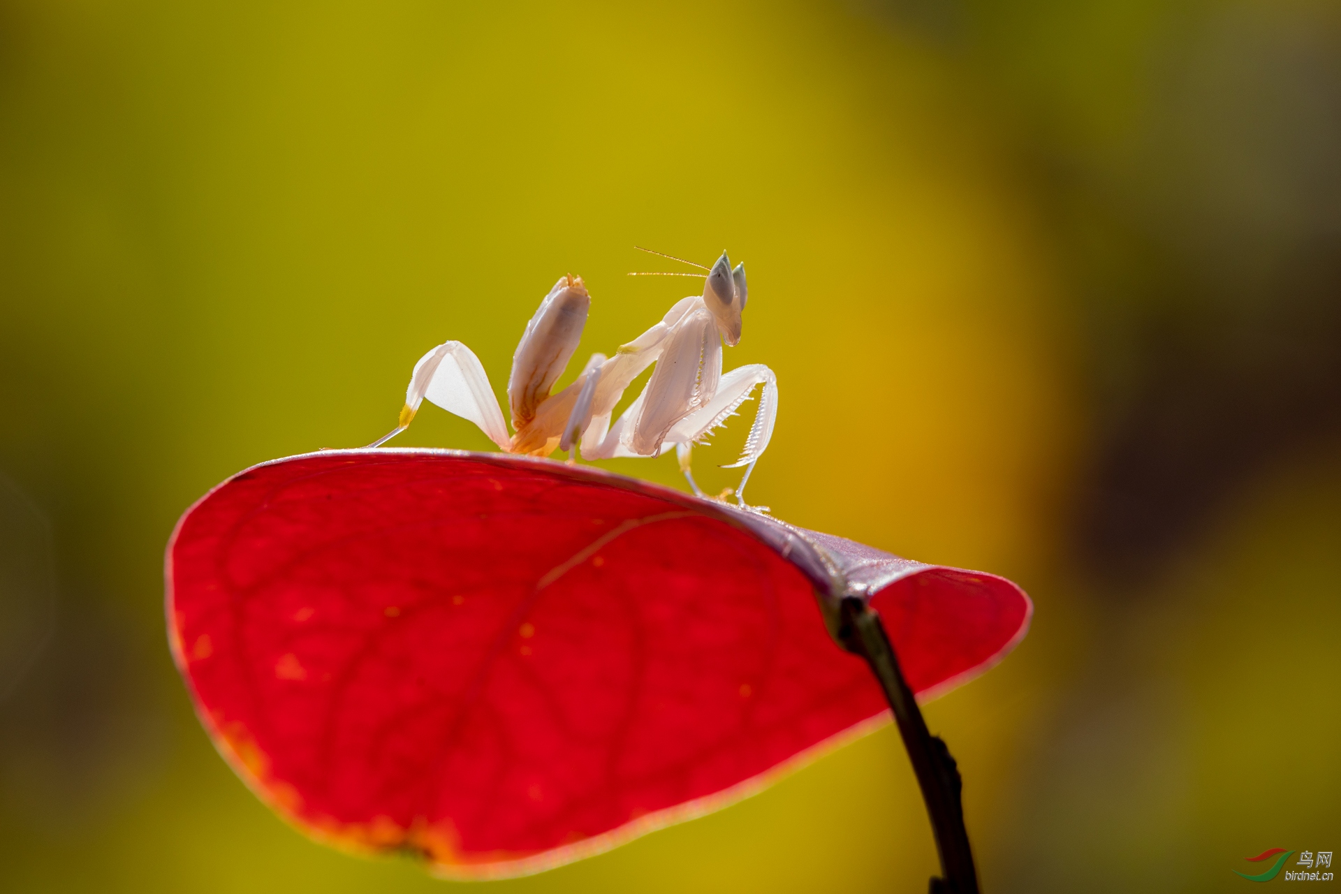 1S8A0488-1.jpg