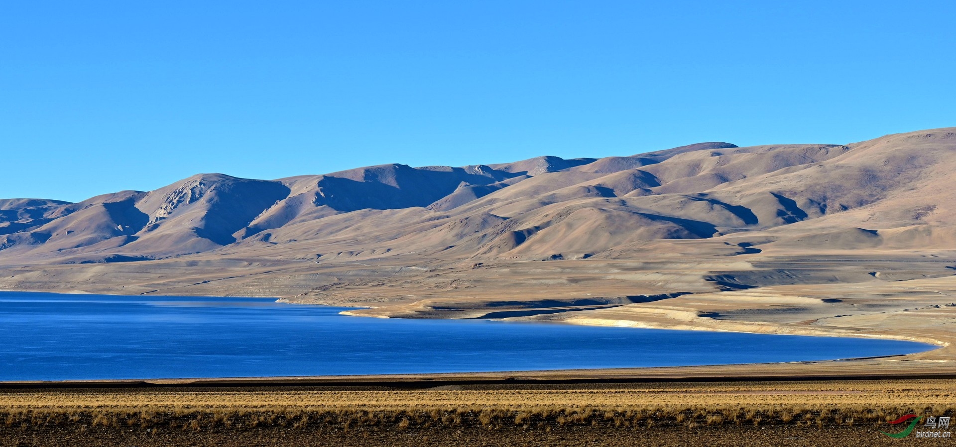 DSC_1878.jpg