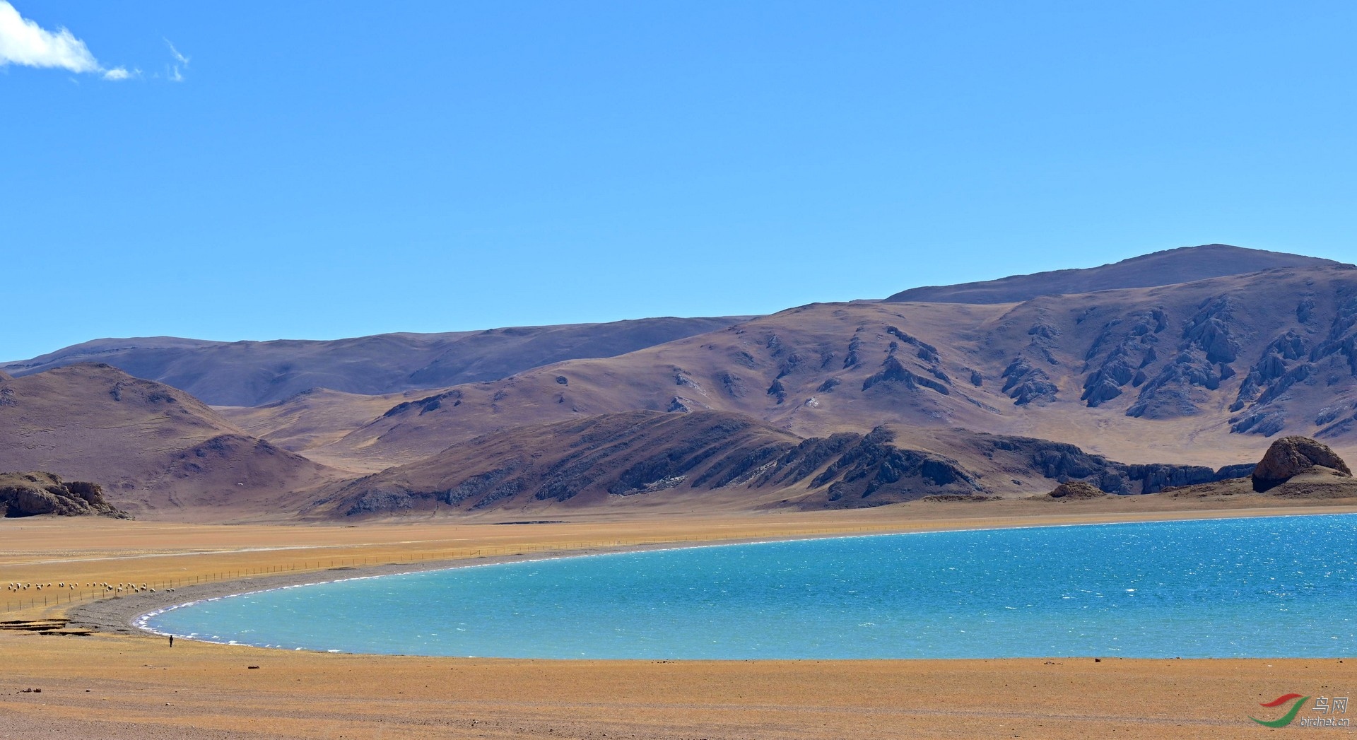 DSC_1942.jpg