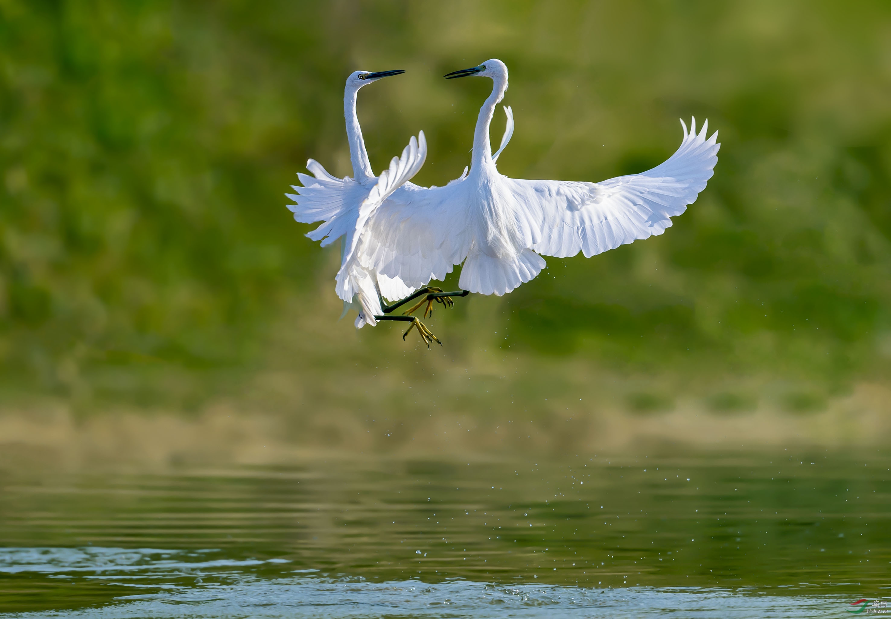 DSC_2093add.jpg
