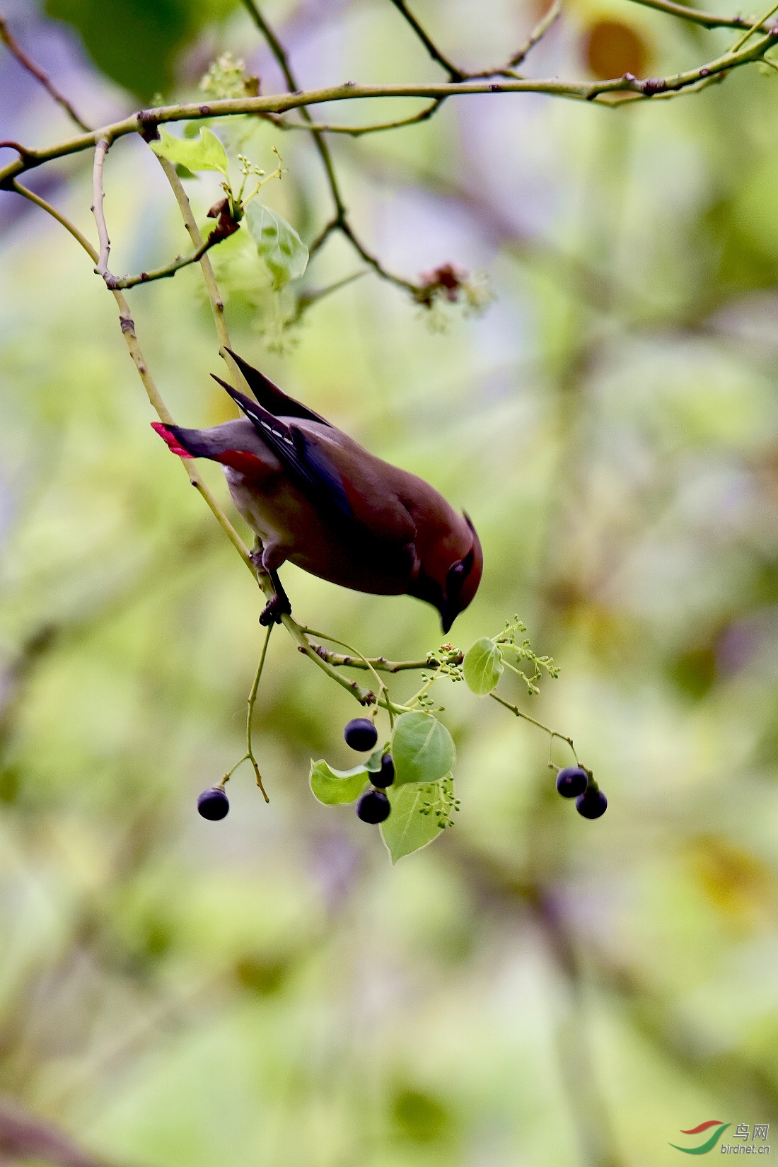 DSC_1120.JPG