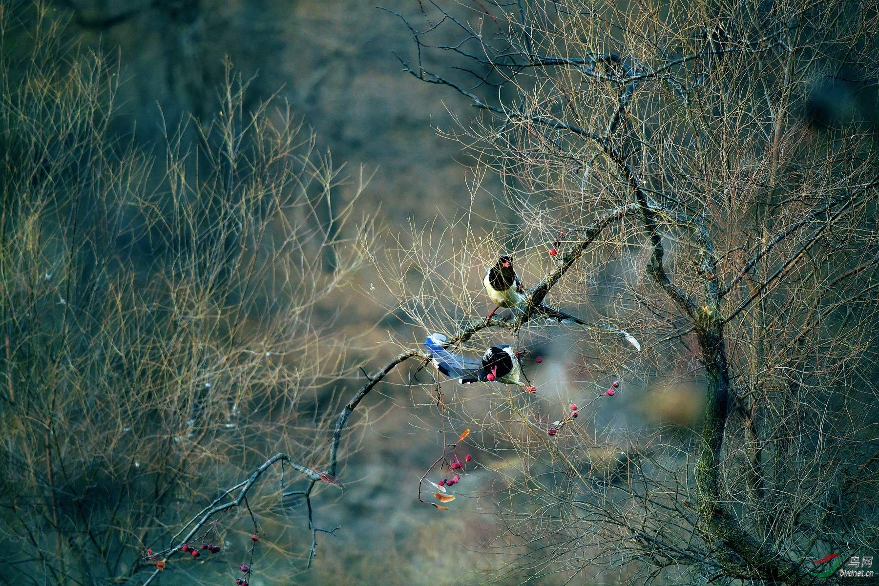 IYK_9302_���� ���� 2_����.jpg