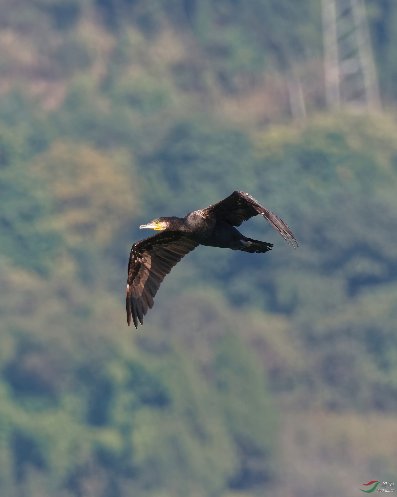 PB120331_DxO-d2.jpg