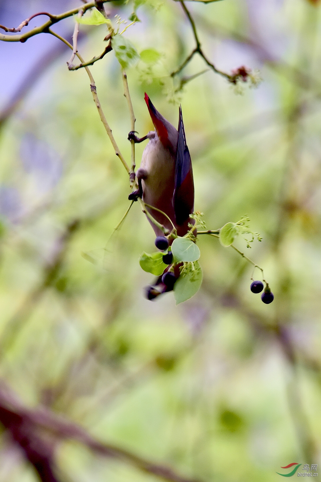 DSC_1122.JPG