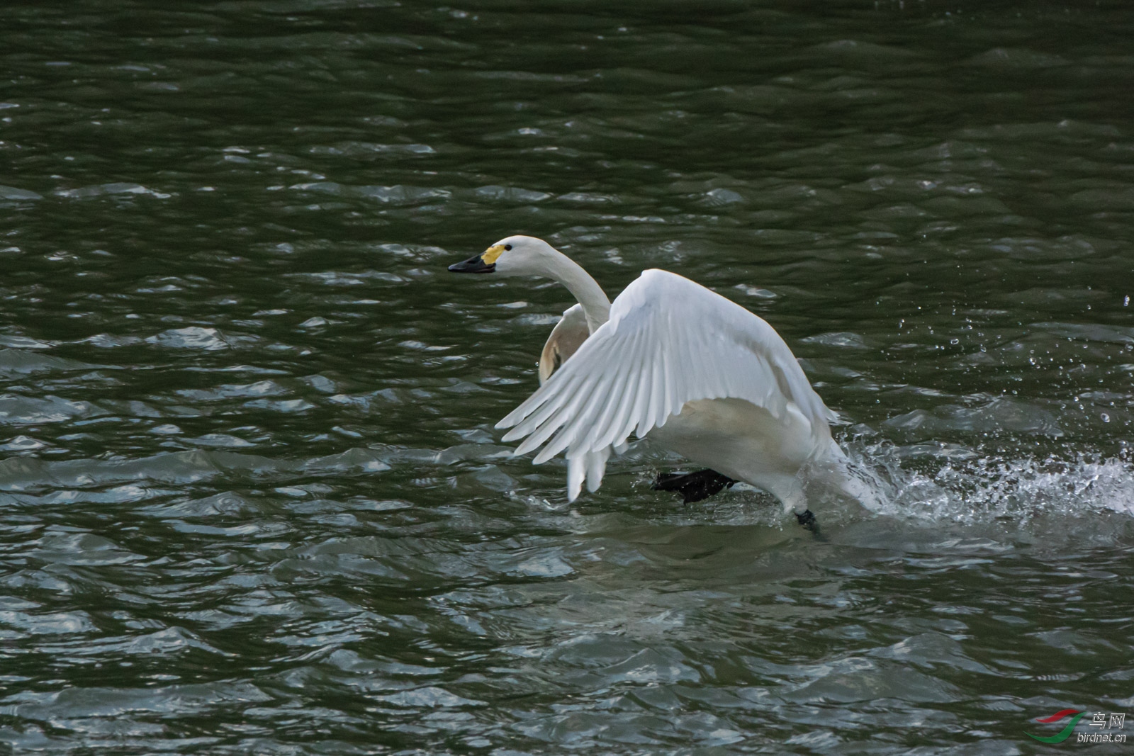 DSC_9001.jpg