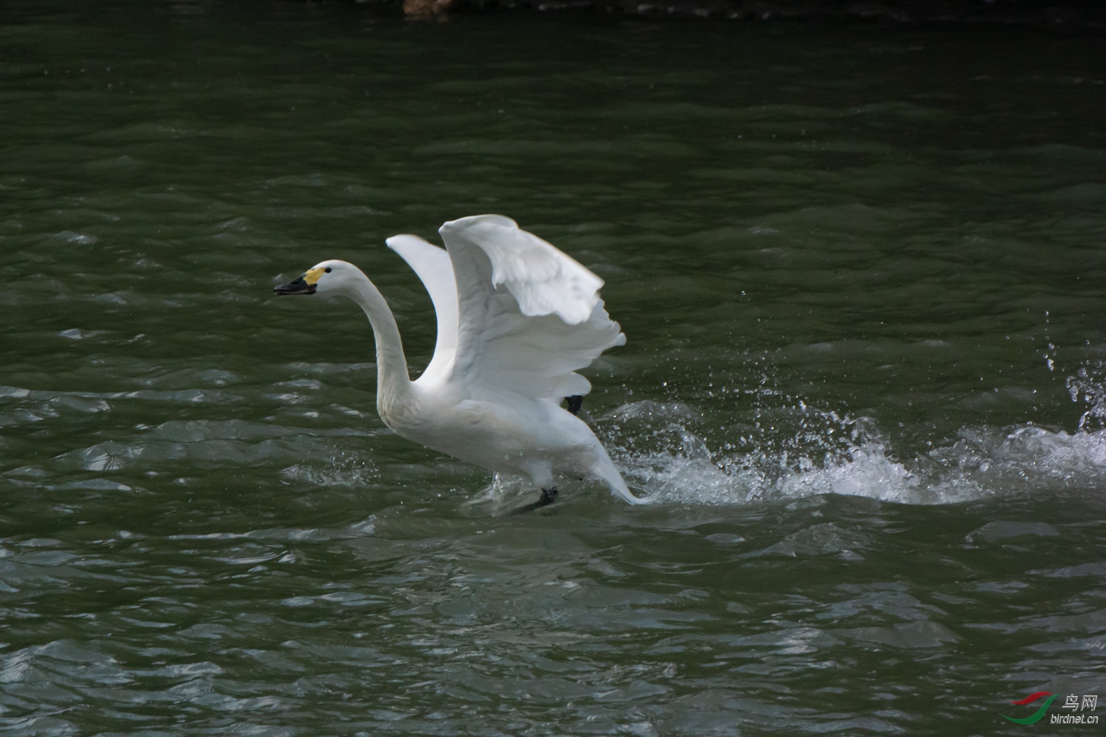 DSC_8997.jpg