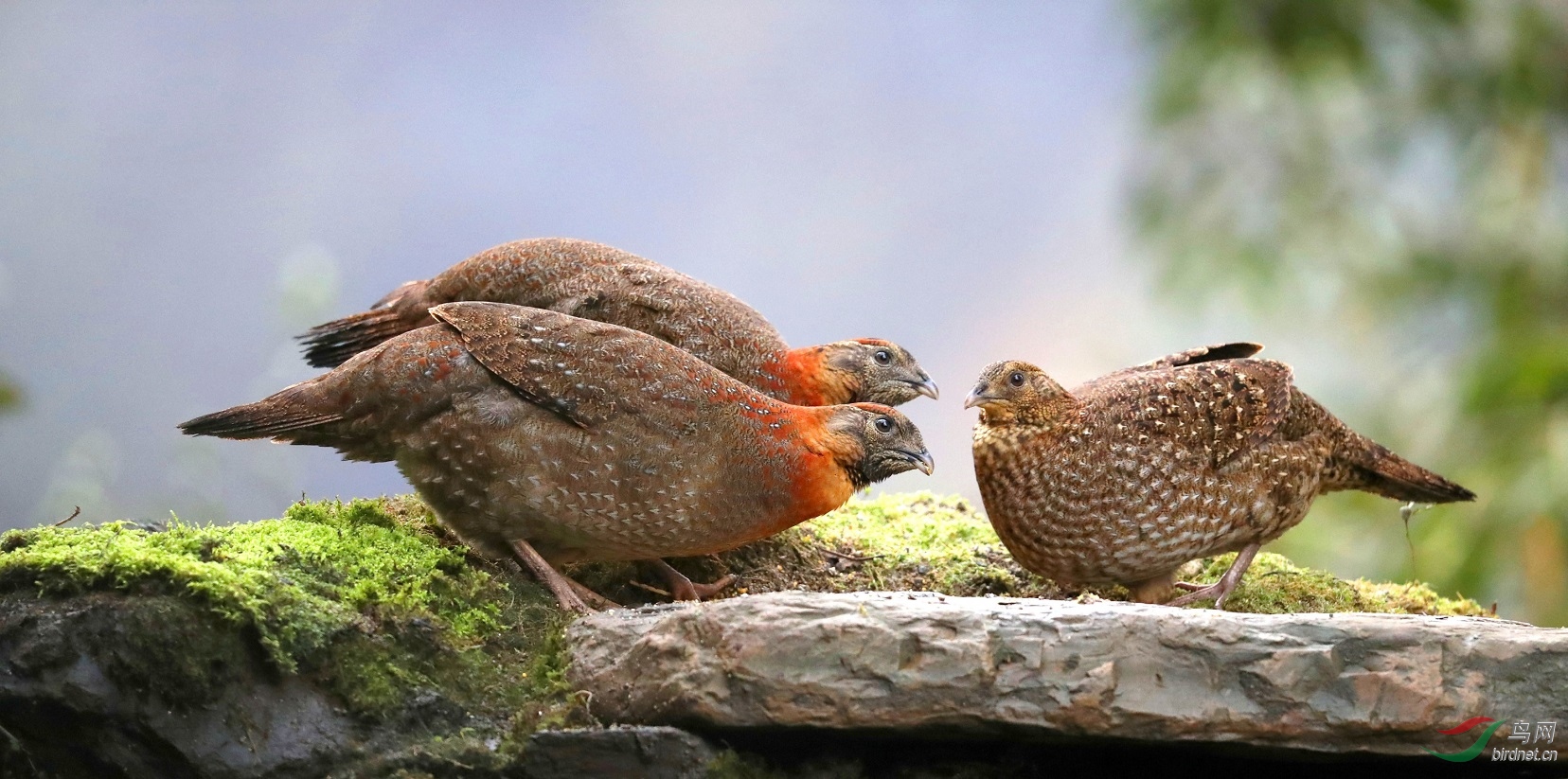 A15I0148 - ����.JPG