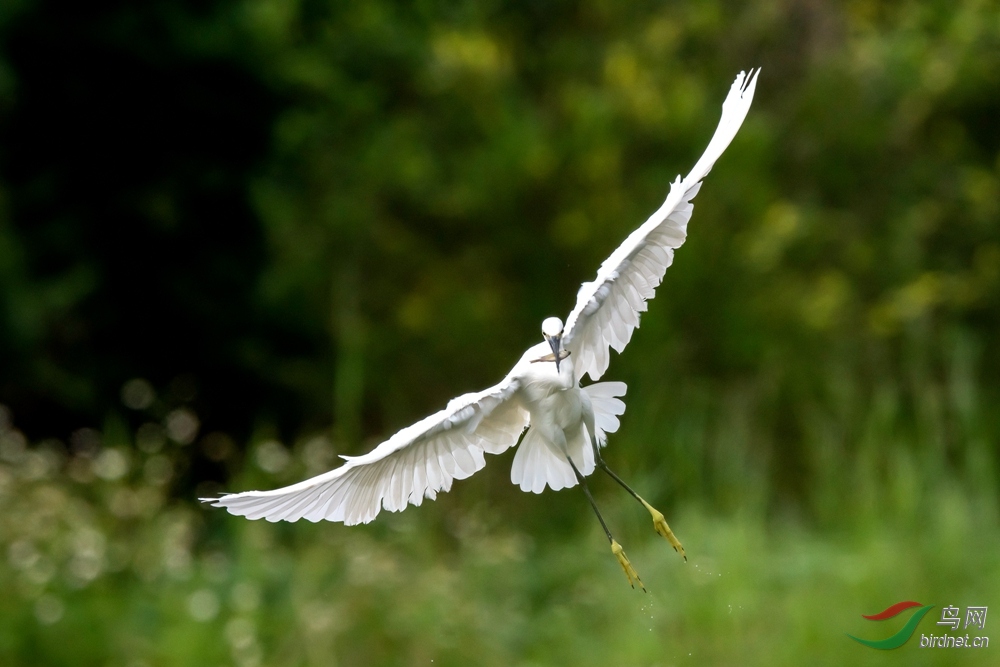 DSC_2564.jpg