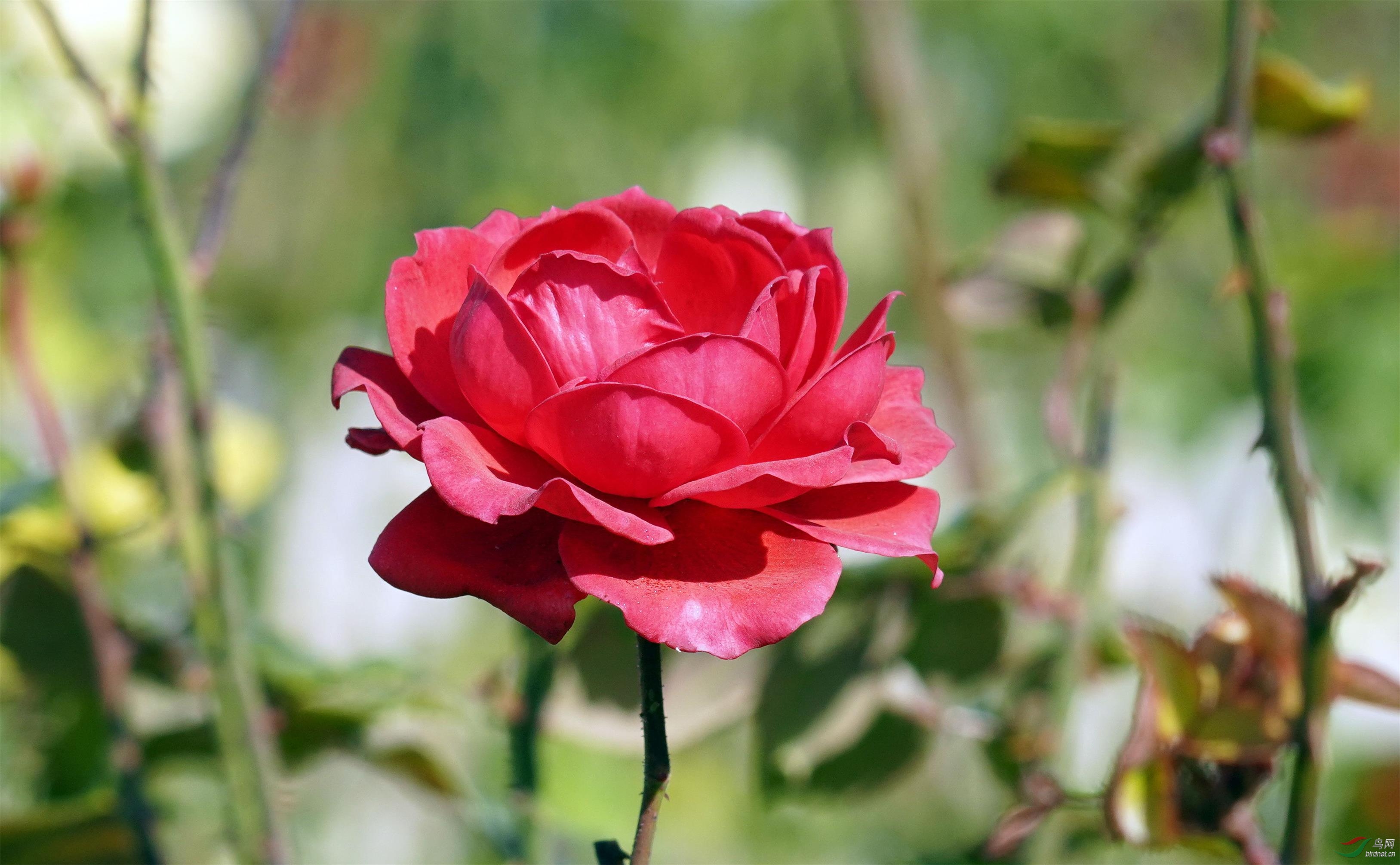 DSC09208_��ͼ��a.jpg
