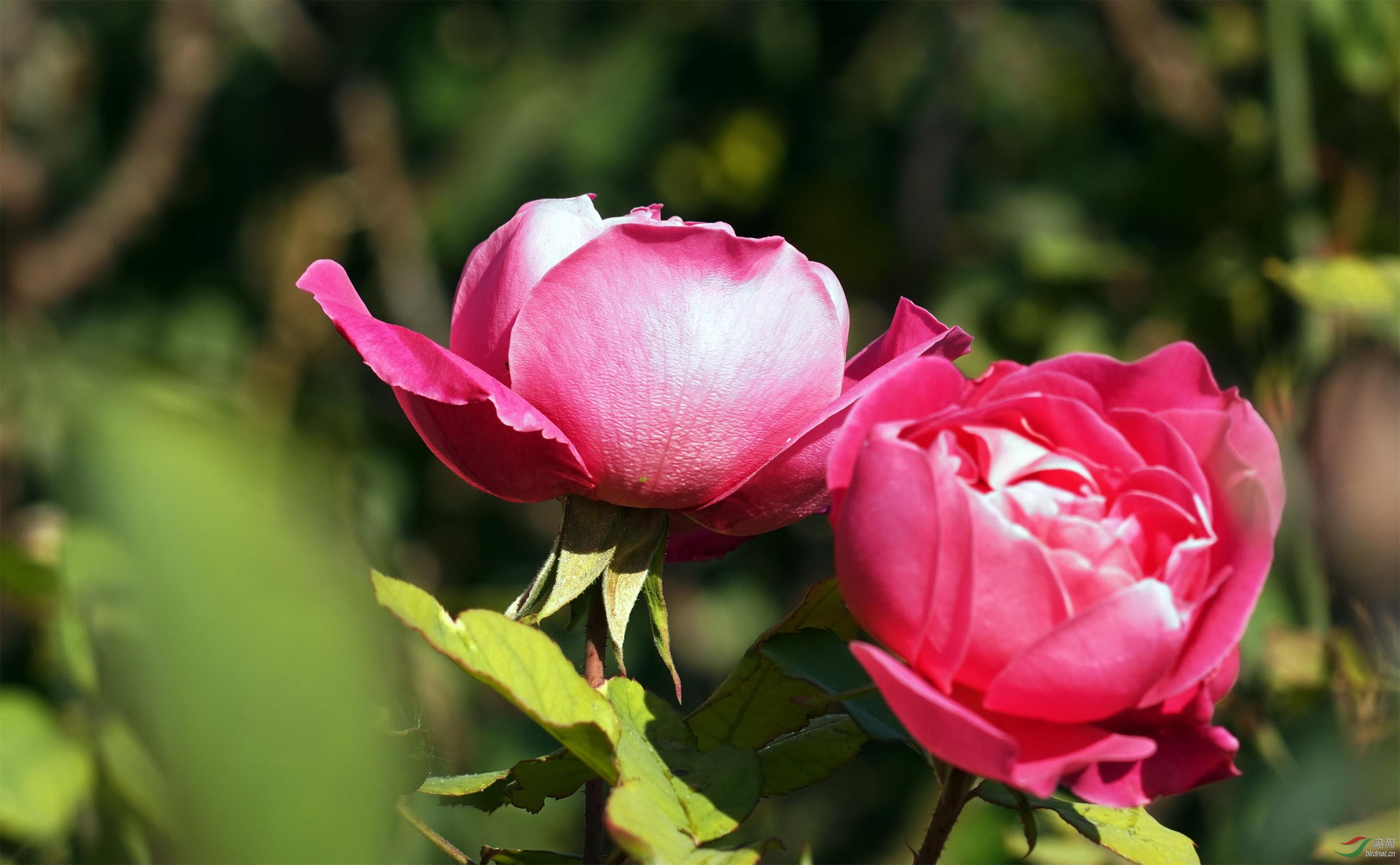 DSC09224_��ͼ��a.jpg