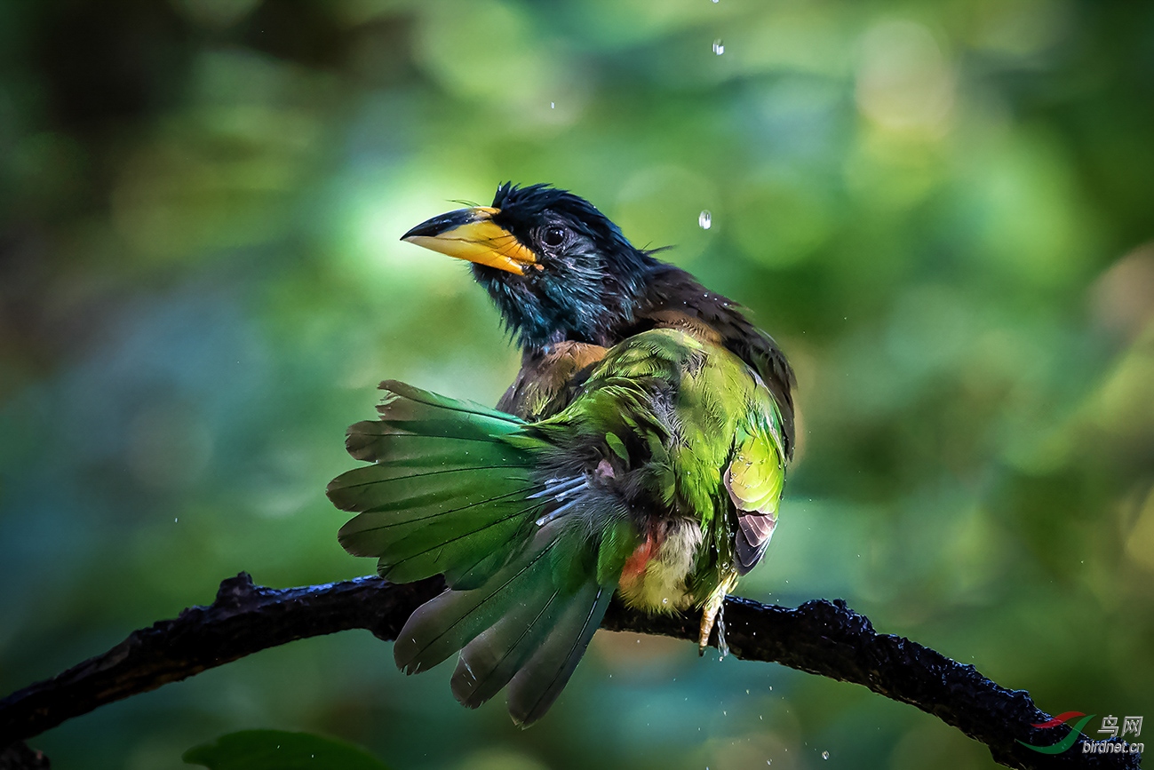 ���������ϰٻ��롣