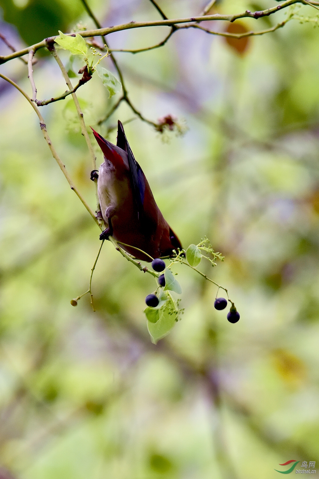 DSC_1138.JPG