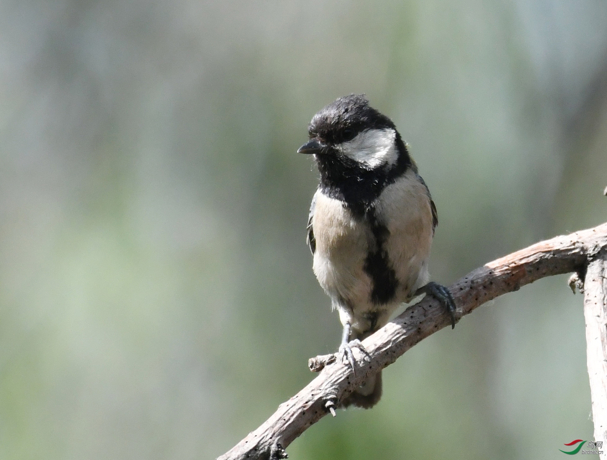 ������Ӱ 2588����.jpg