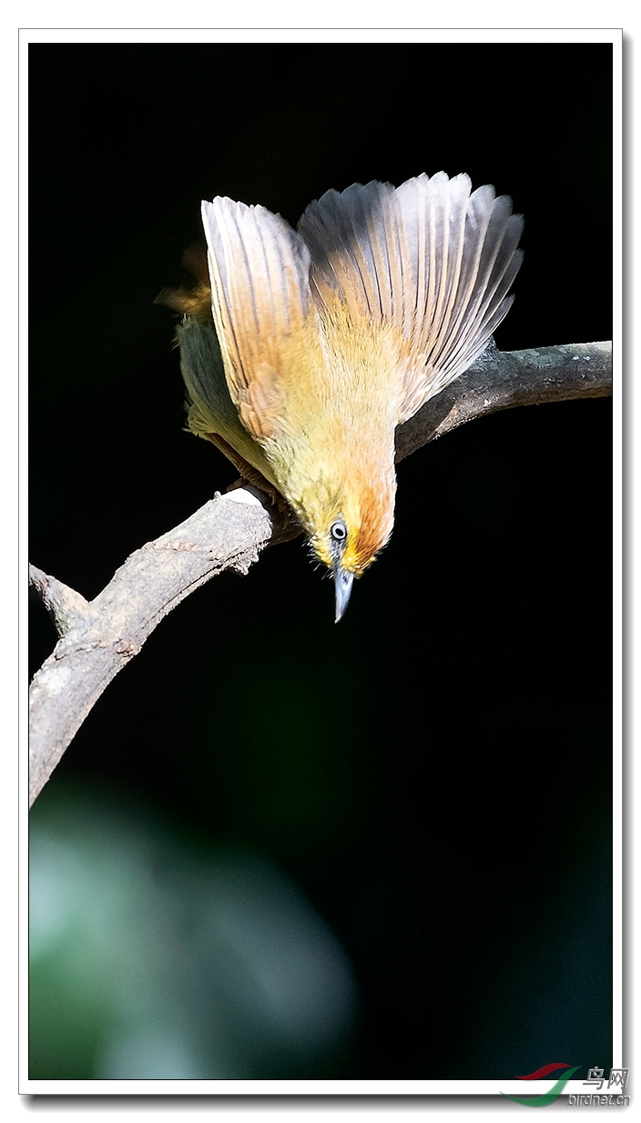 _DSC6043_����.jpg