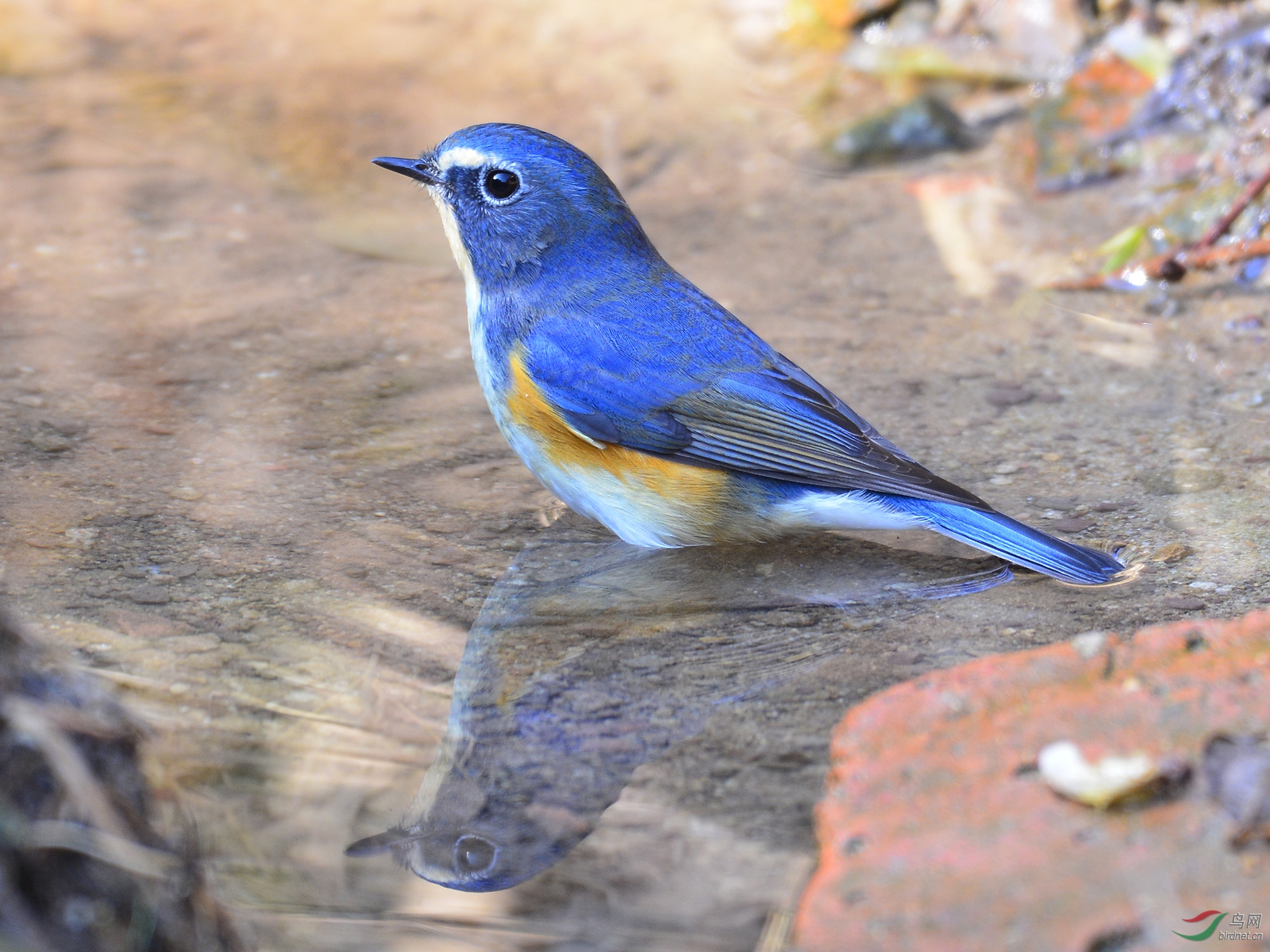 ������Ӱ 710����.jpg