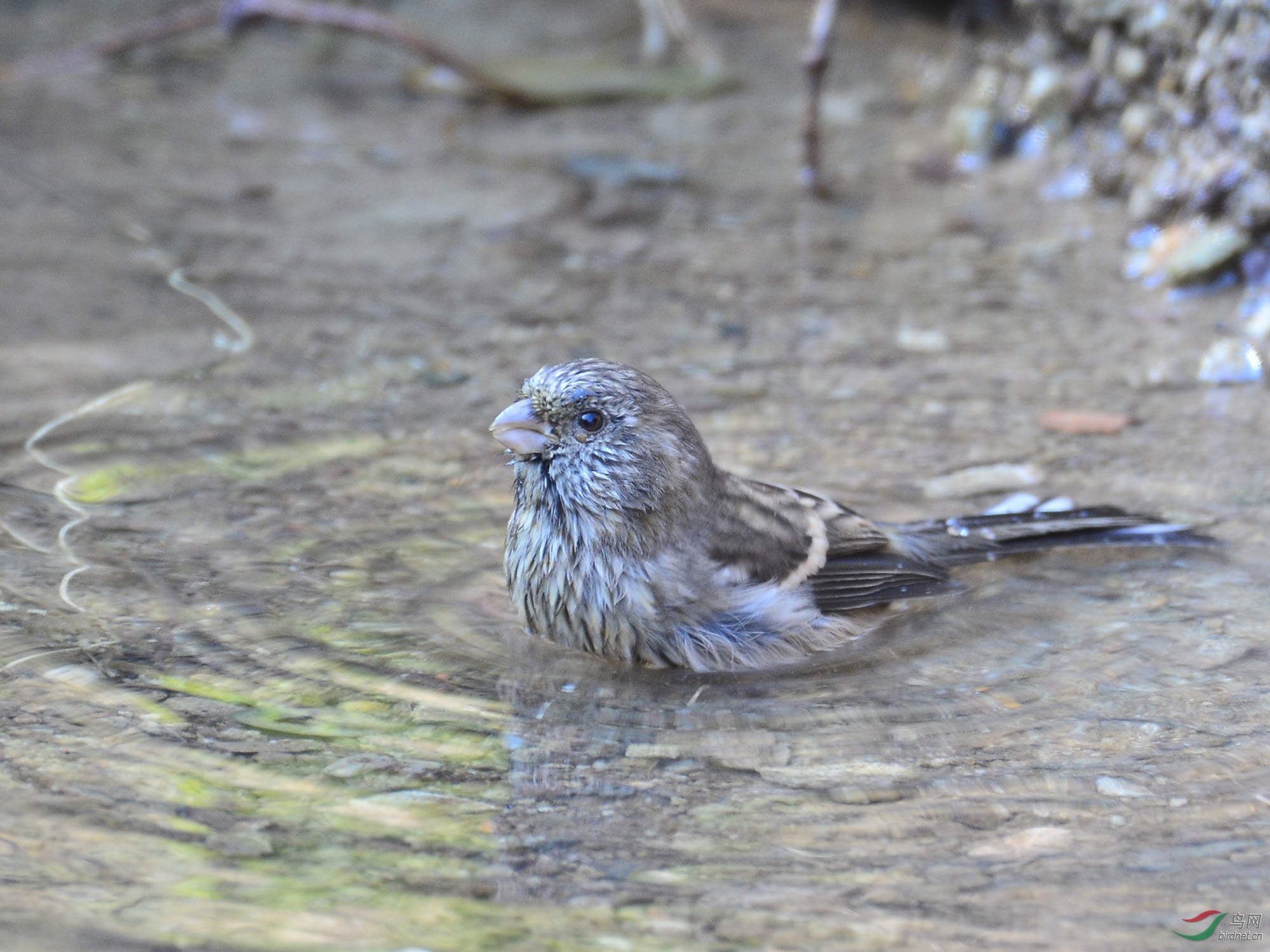 ������Ӱ 1072����.jpg