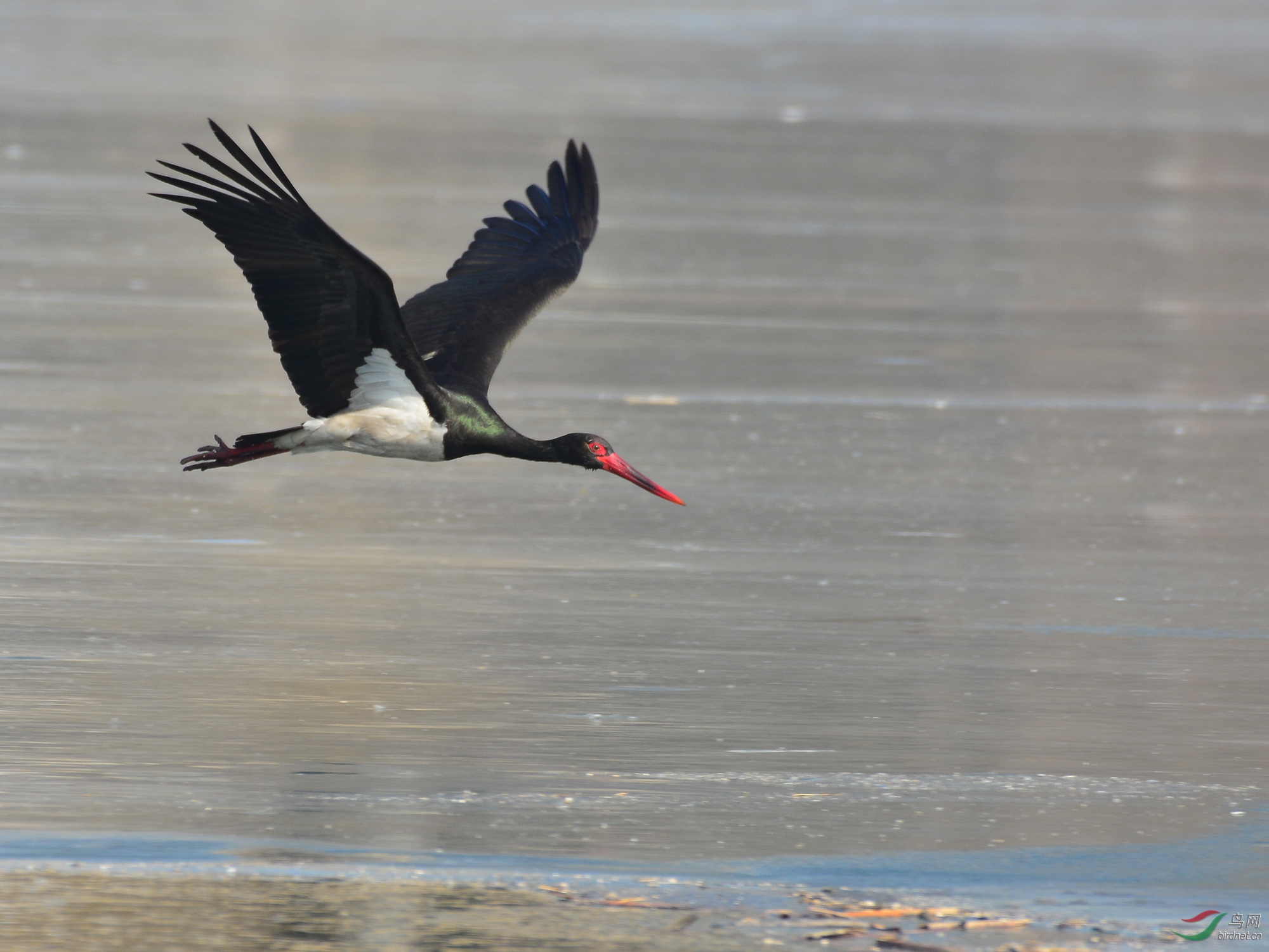 ������Ӱ 1927����.jpg