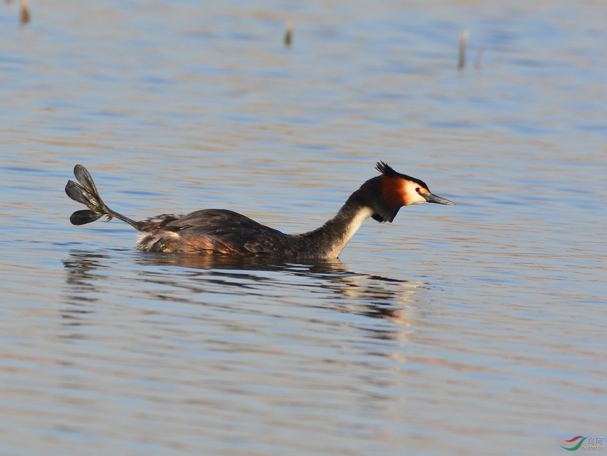 ������Ӱ 326����.jpg