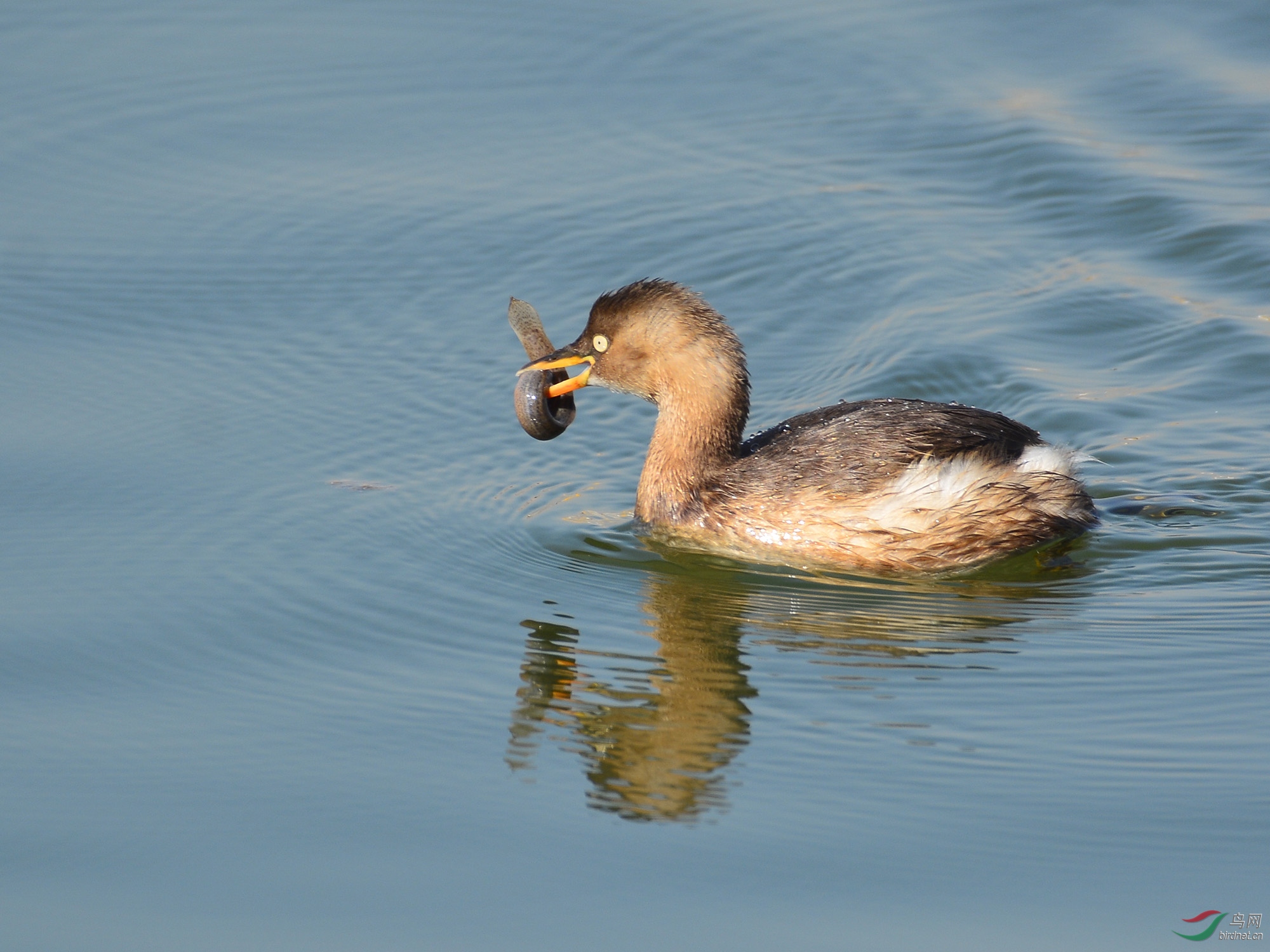 ������Ӱ 1372����.jpg