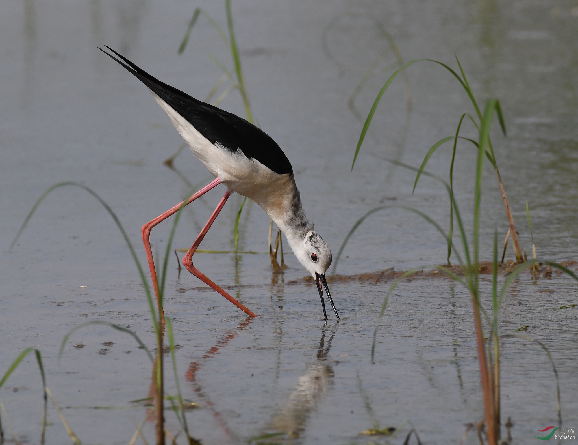 ������Ӱ 408����.jpg