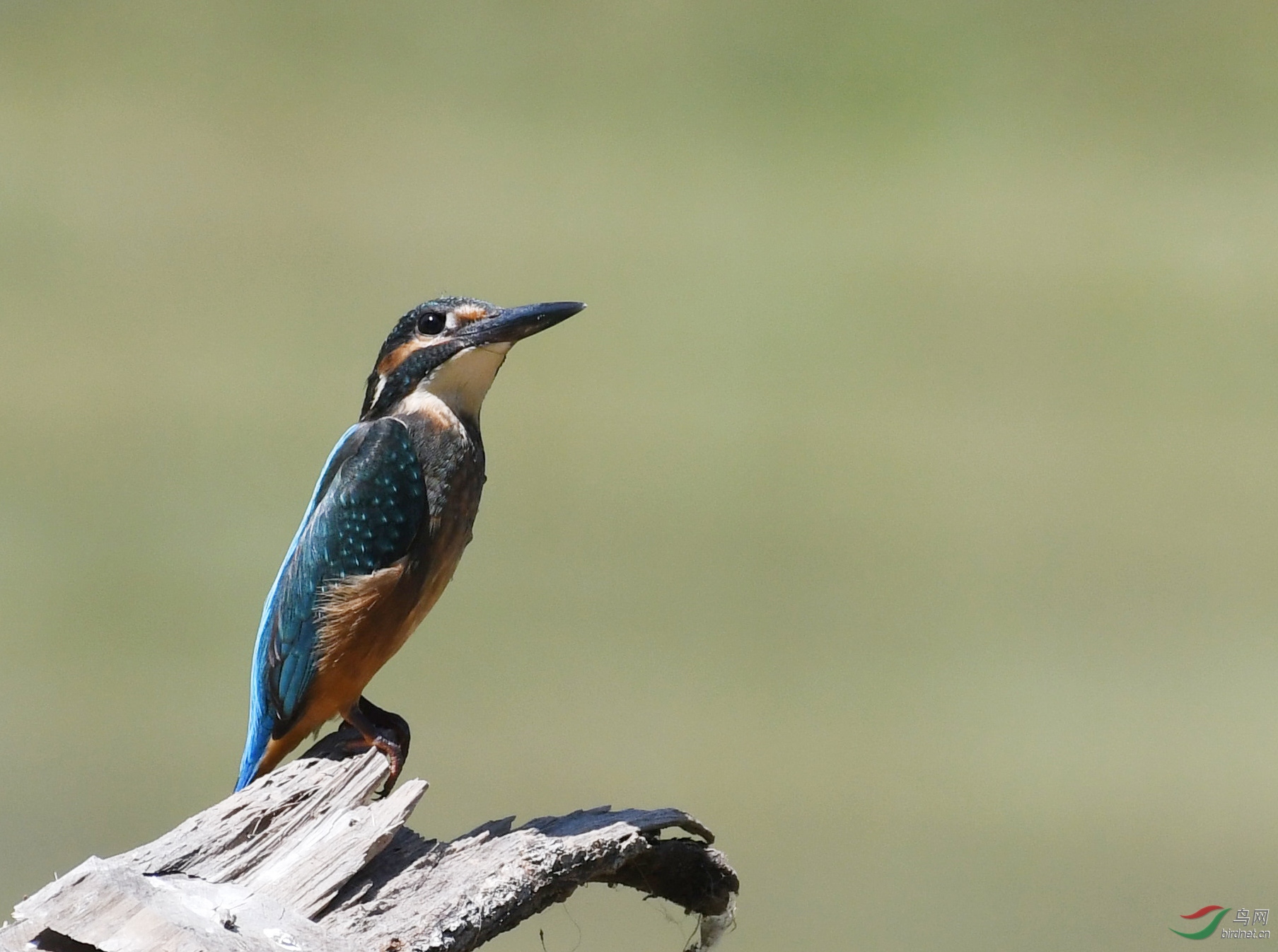 ������Ӱ 734����.jpg