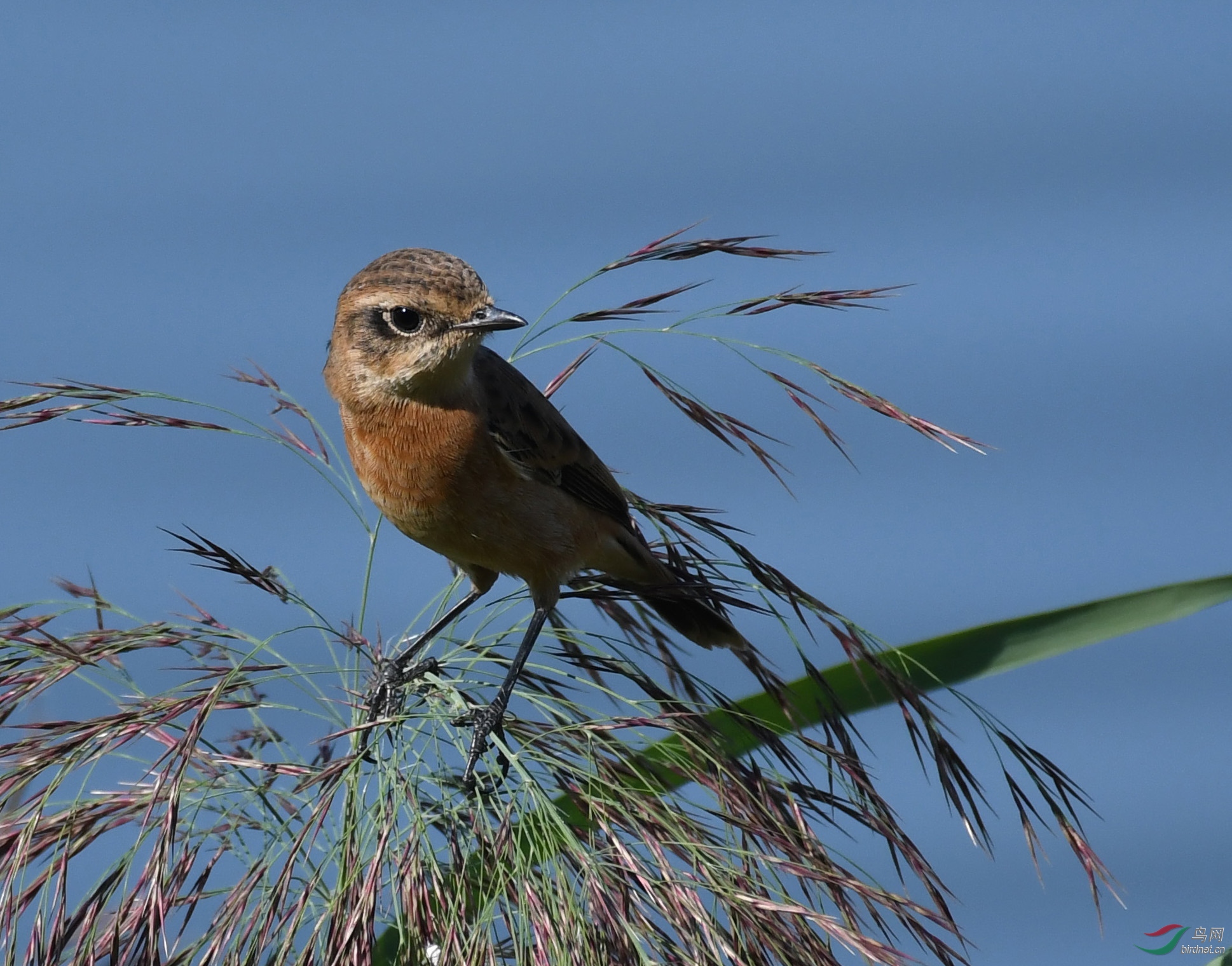 ������Ӱ 1182����.jpg