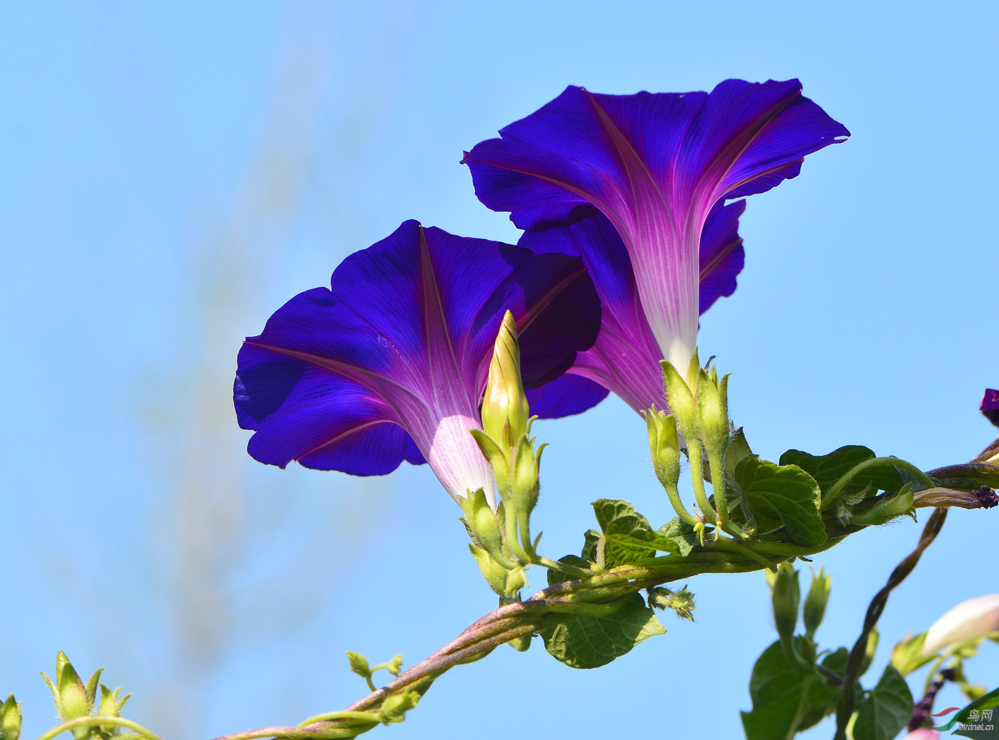 ������Ӱ 2279����.jpg