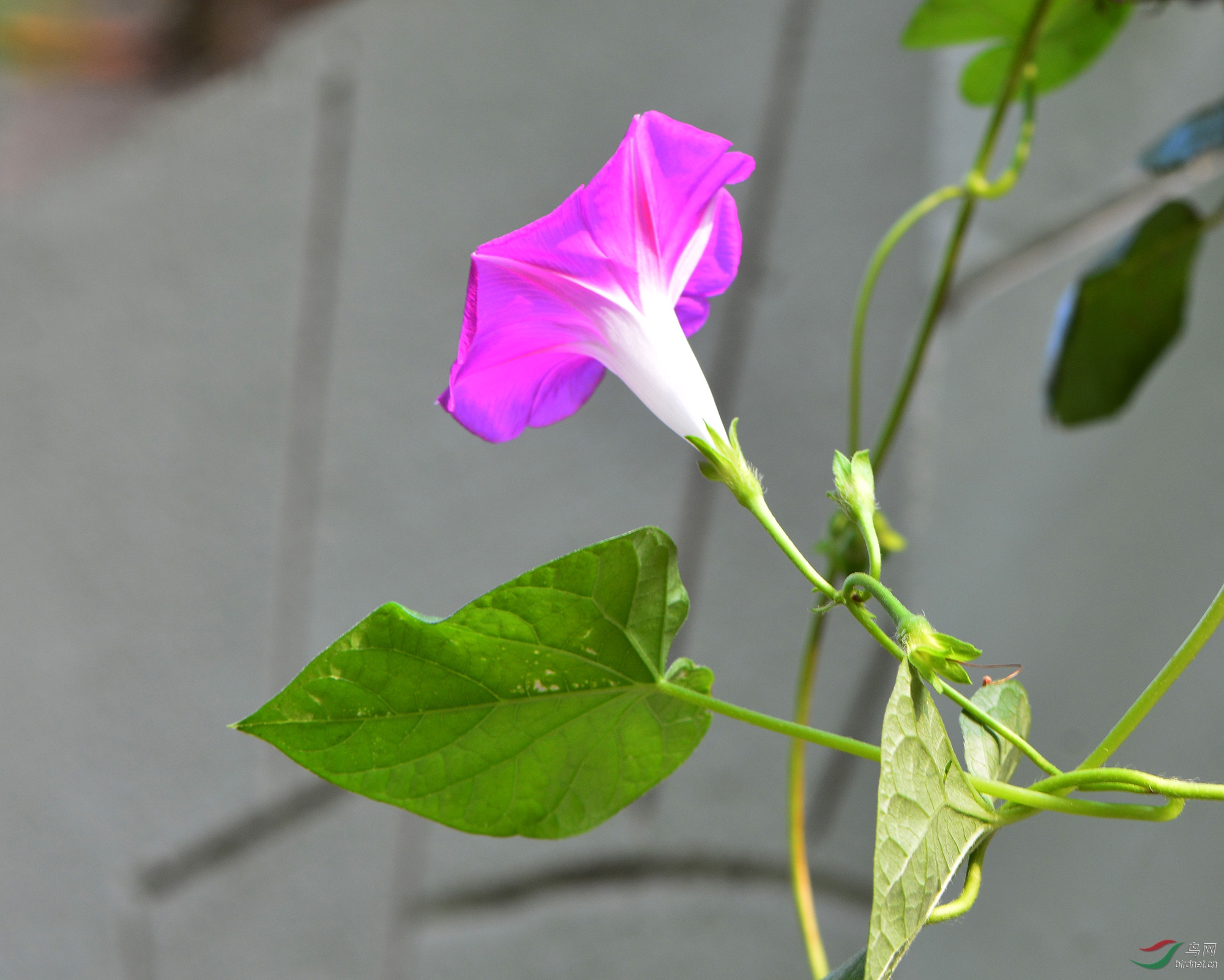 ������Ӱ 2710����.jpg