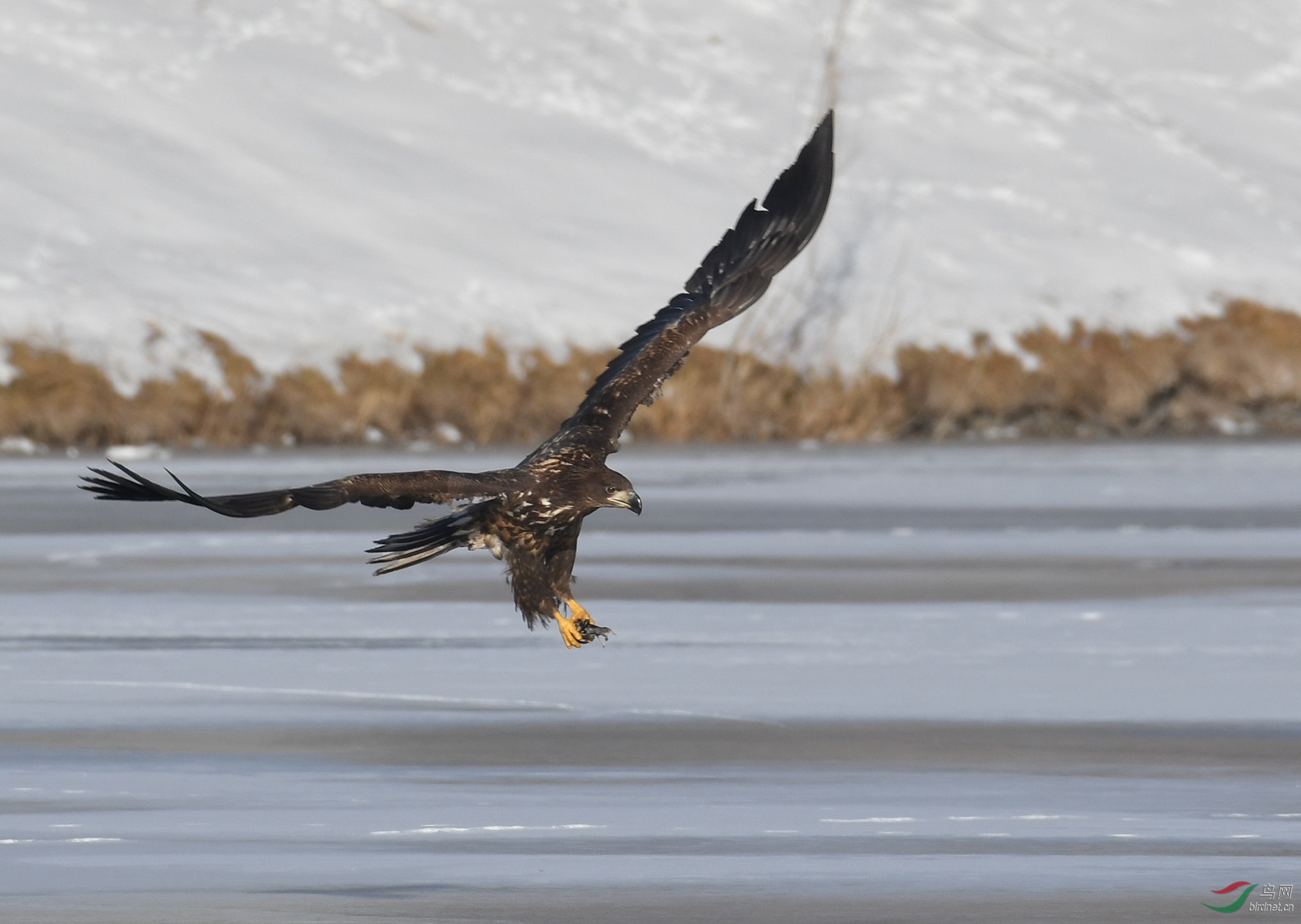 ������Ӱ 227����.jpg