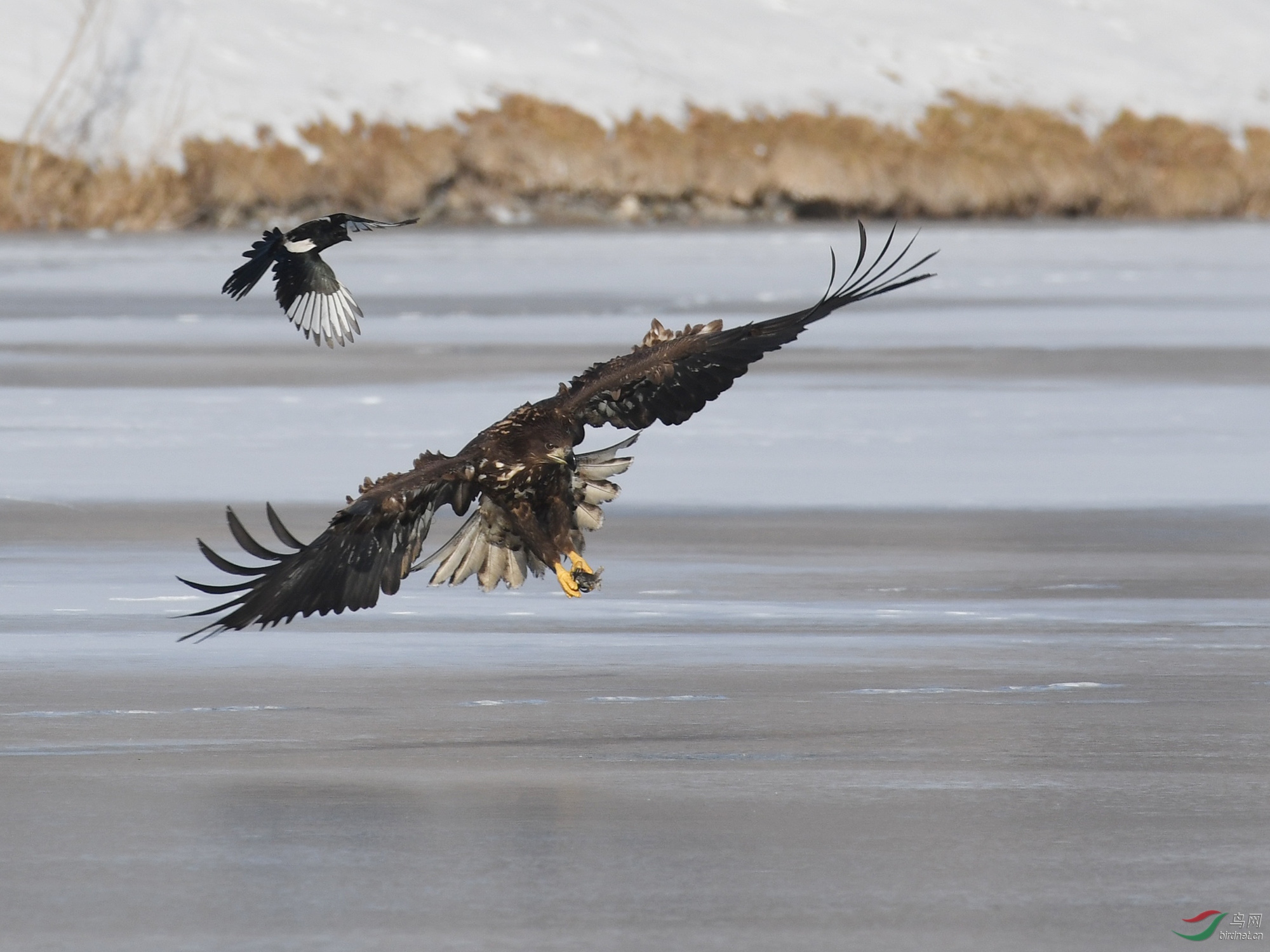 ������Ӱ 229����.jpg