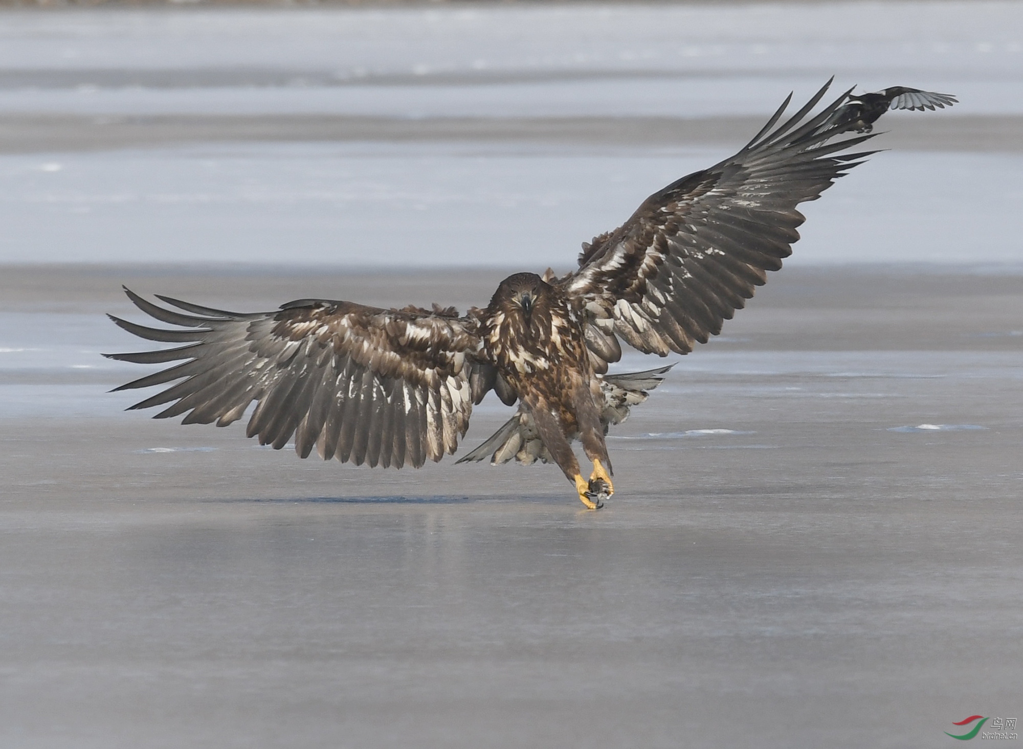 ������Ӱ 232����.jpg