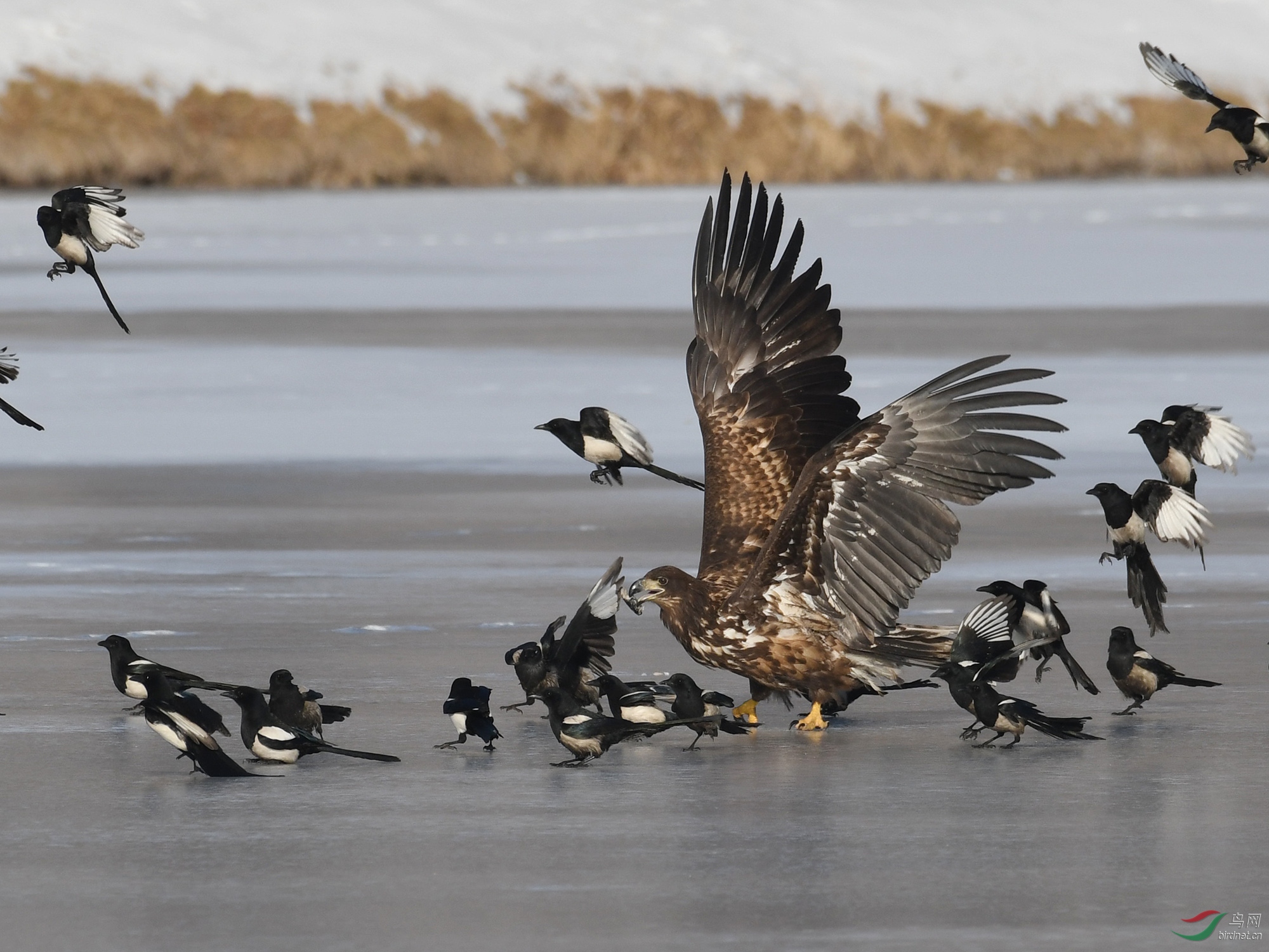 ������Ӱ 313����.jpg