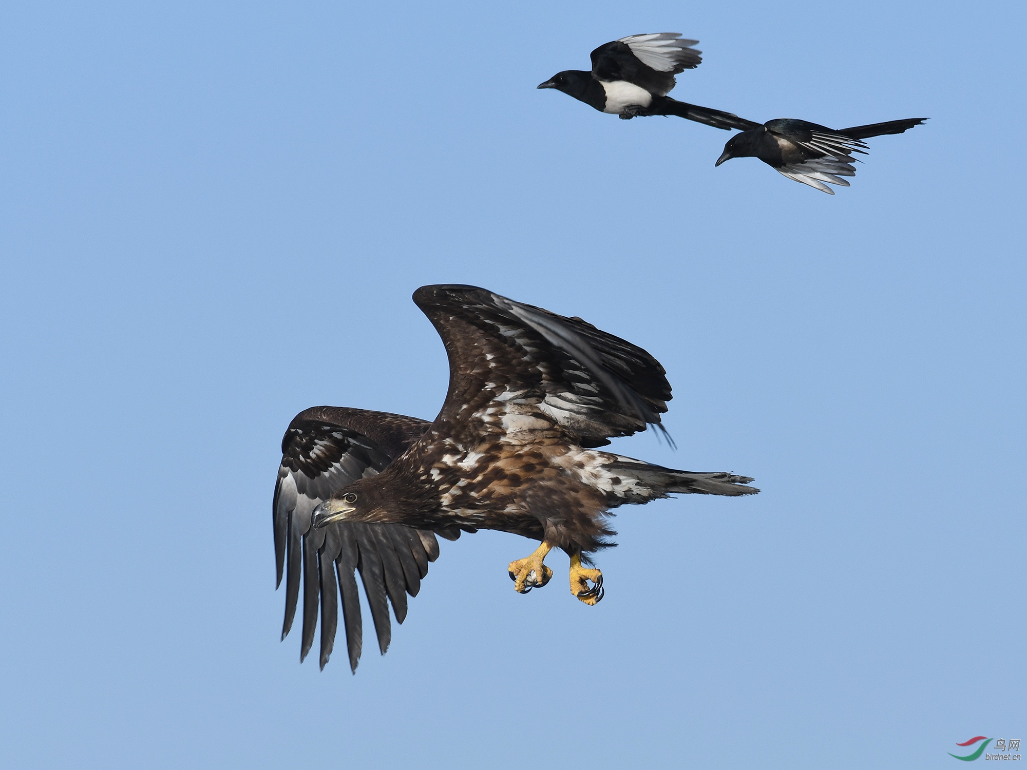 ������Ӱ 360����.jpg