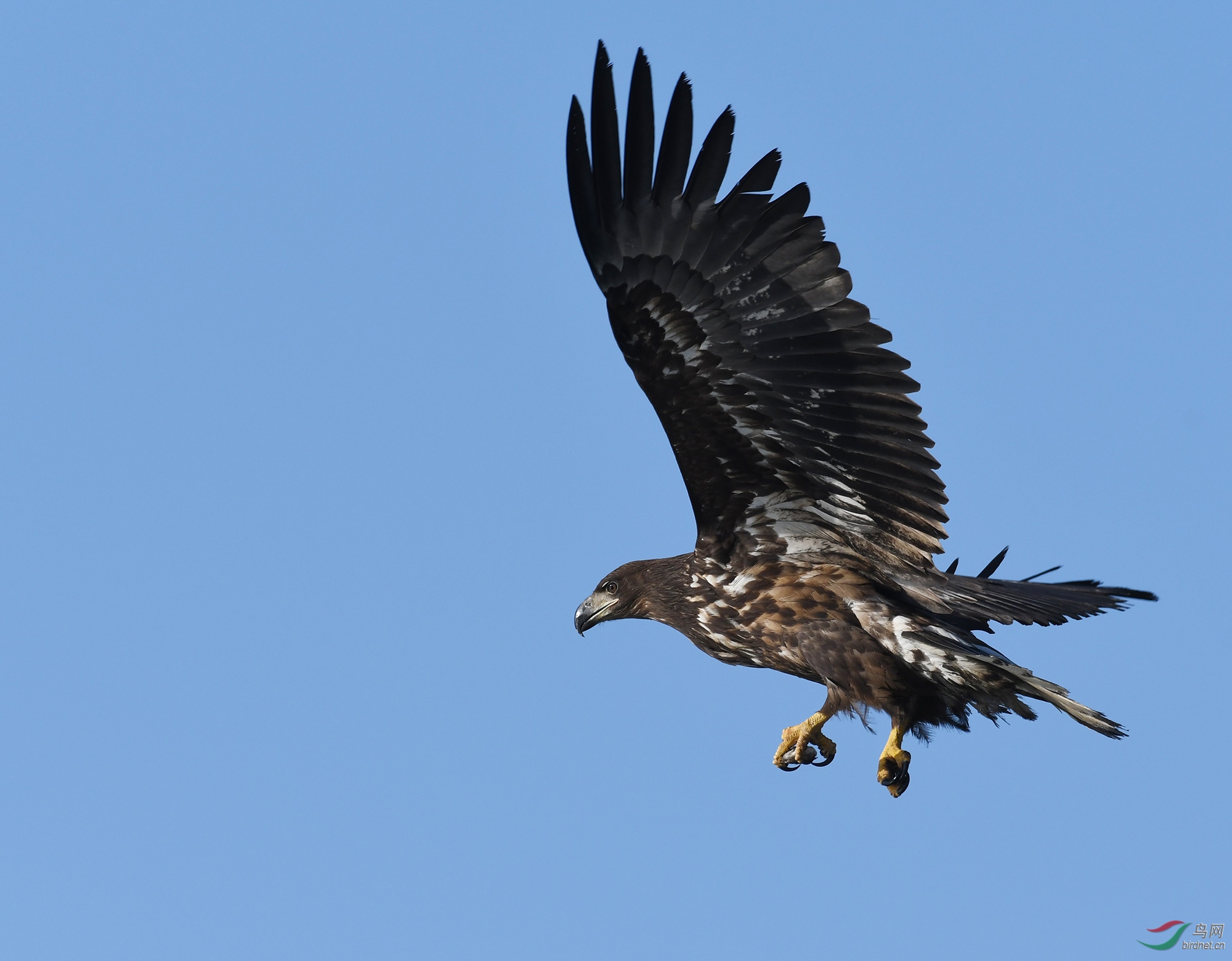 ������Ӱ 374����.jpg