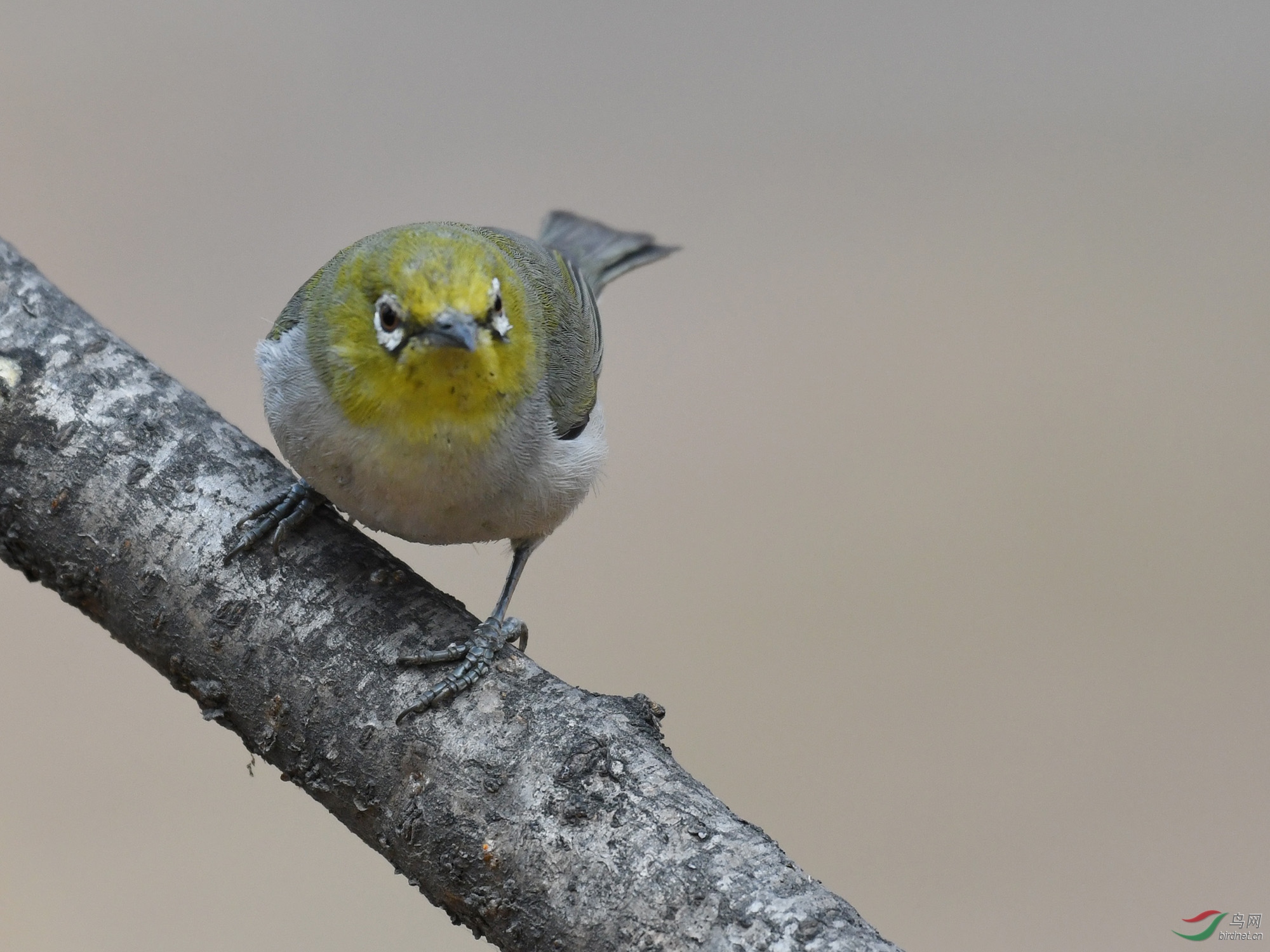 ������Ӱ 038����.jpg