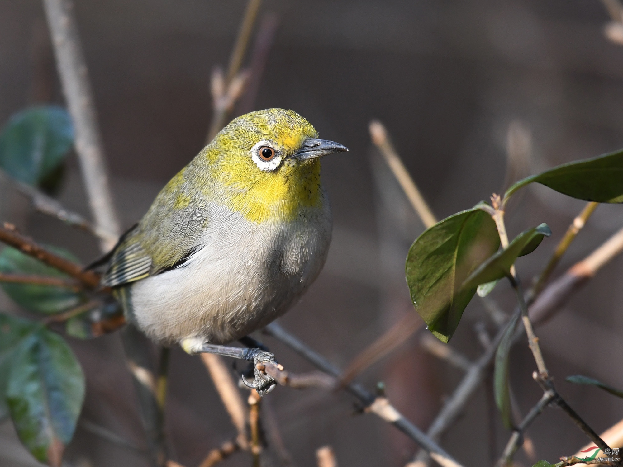 ������Ӱ 078����.jpg