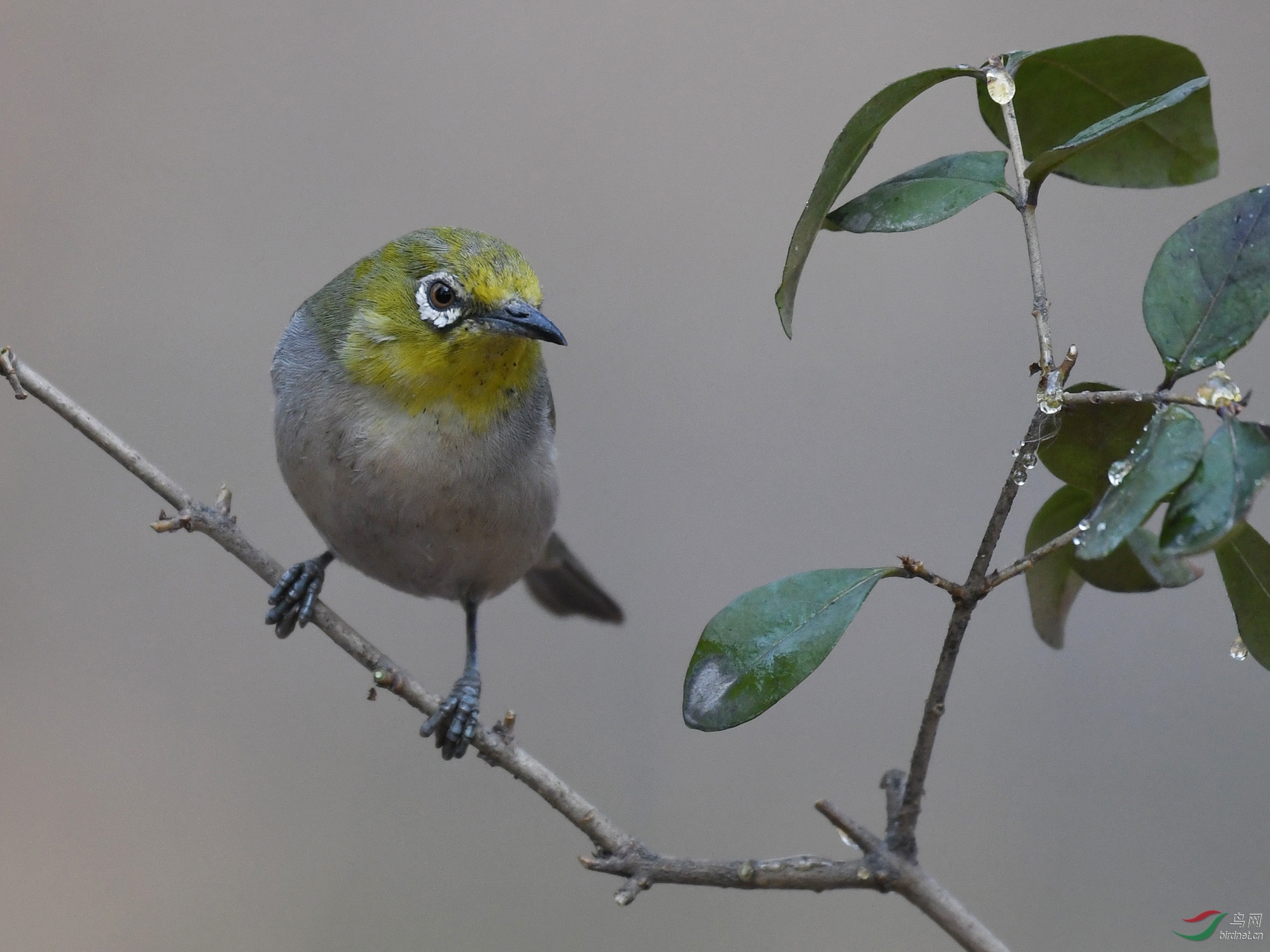 ������Ӱ 147����.jpg