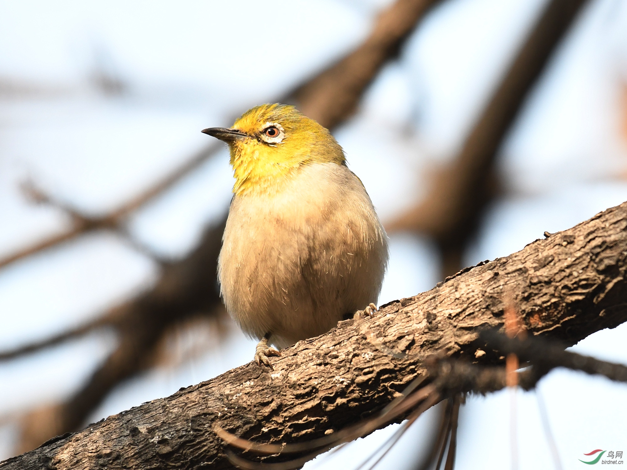 ������Ӱ 307����.jpg